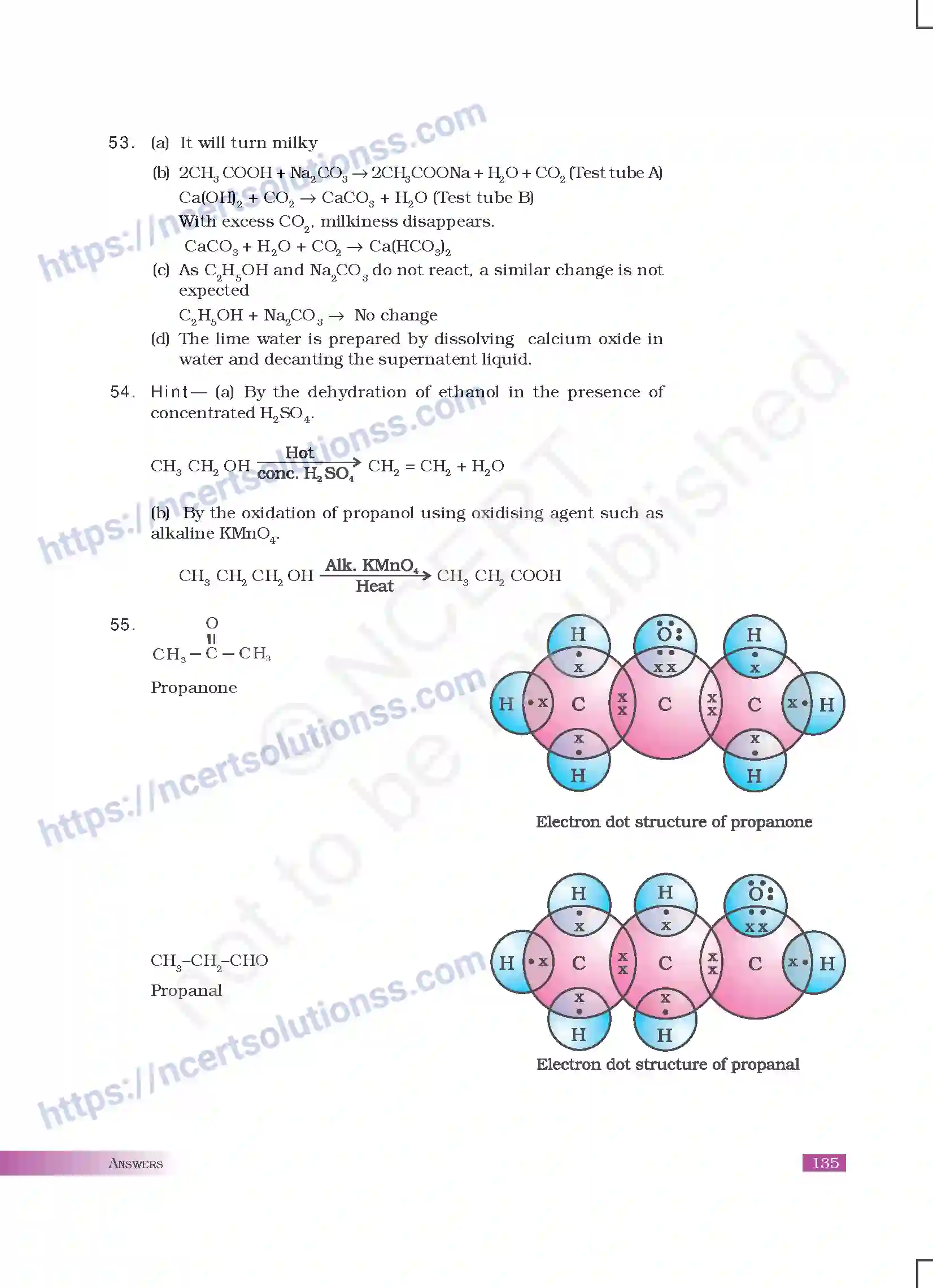 NCERT-Exemplar-Questions-Class-10-Science--Answers-180-page-19