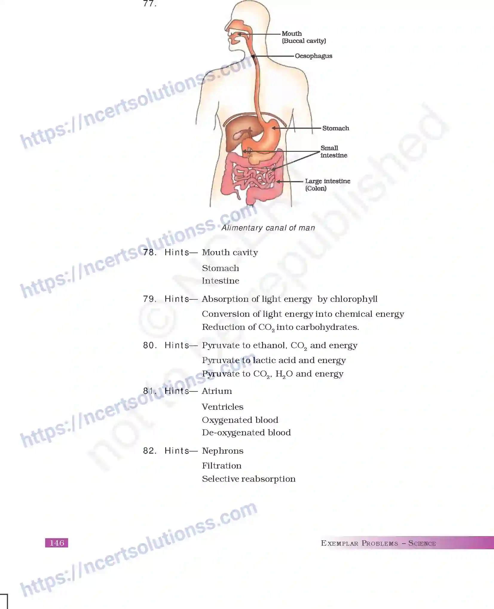 NCERT-Exemplar-Questions-Class-10-Science--Answers-180-page-30