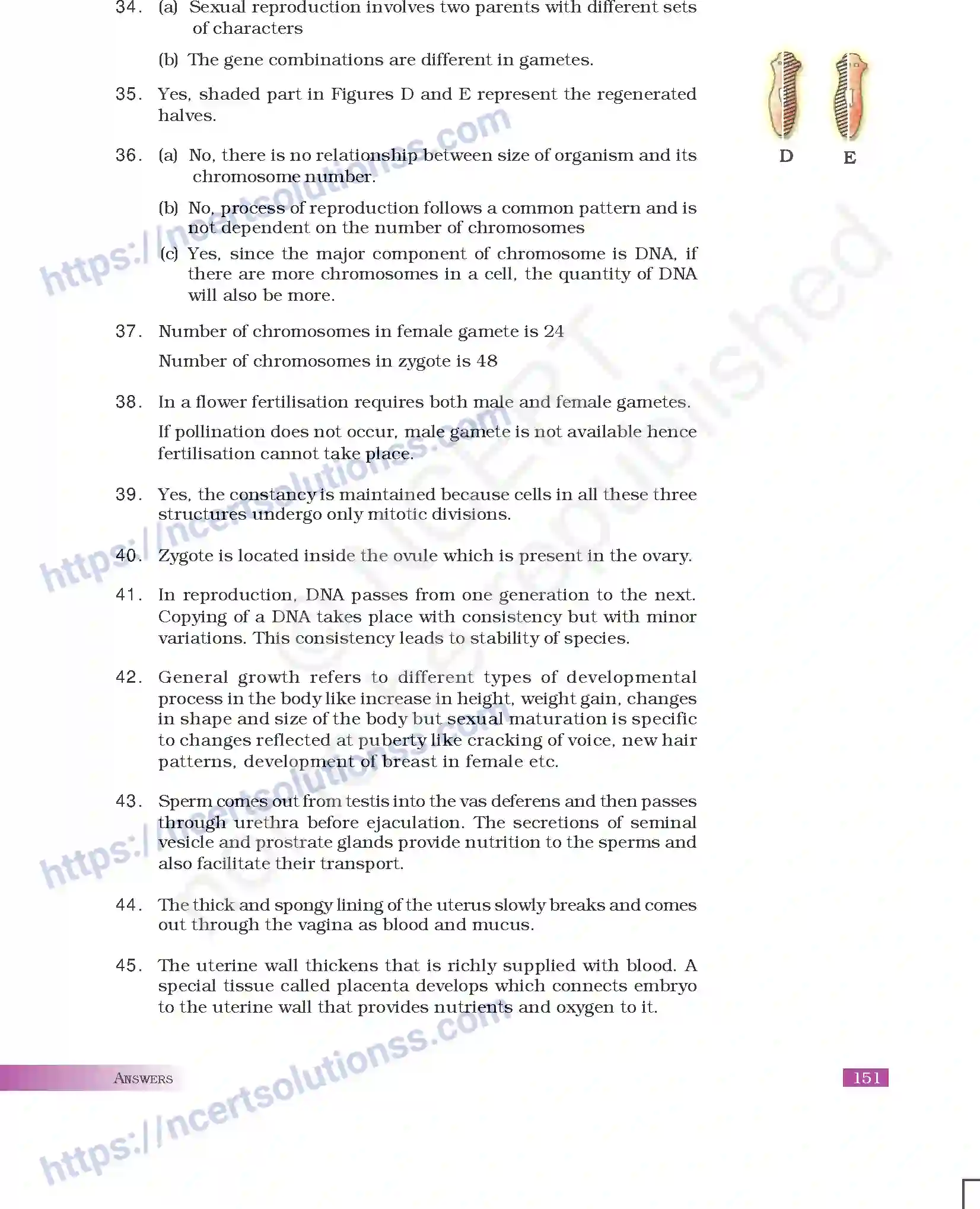 NCERT-Exemplar-Questions-Class-10-Science--Answers-180-page-35