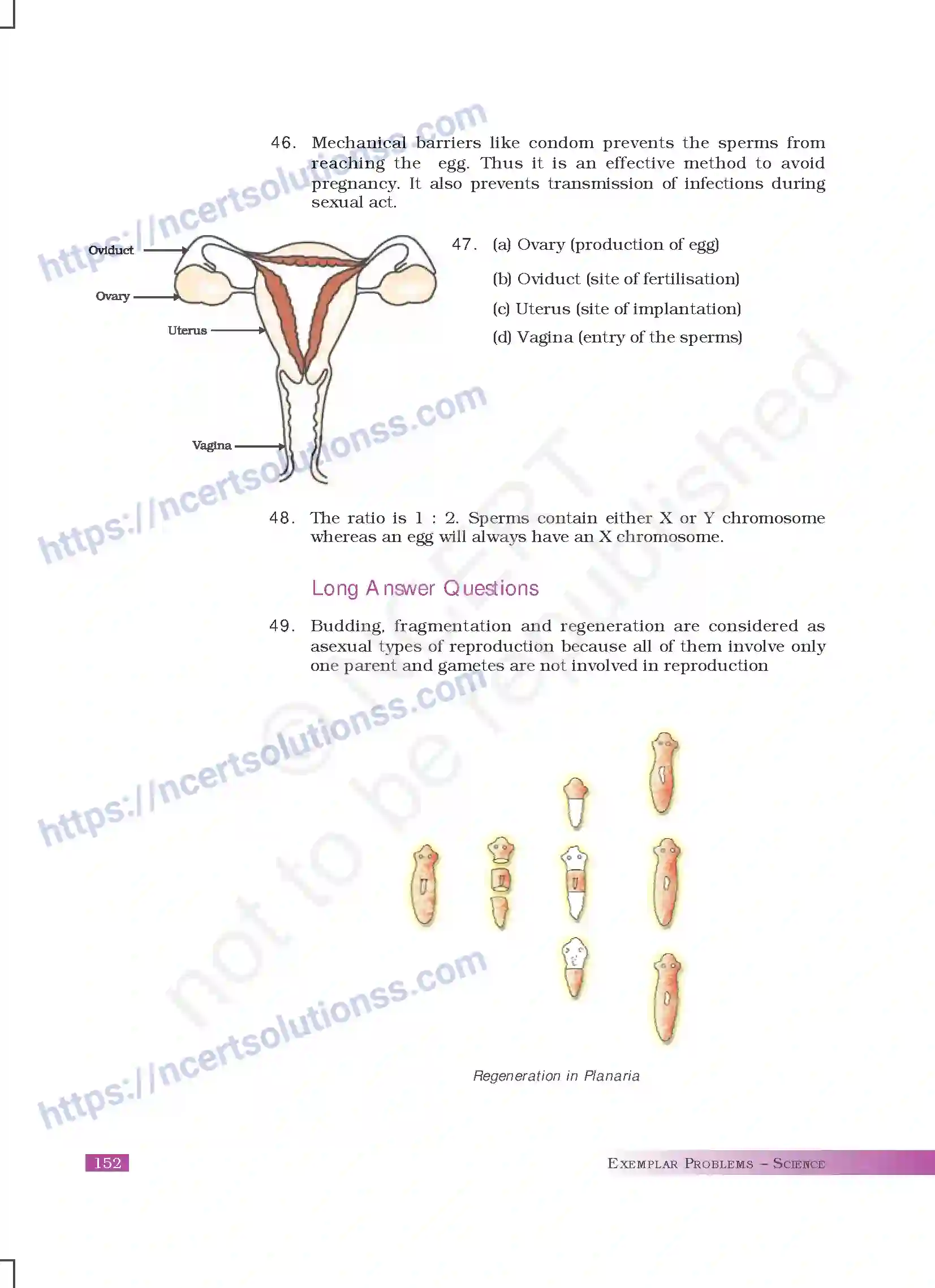 NCERT-Exemplar-Questions-Class-10-Science--Answers-180-page-36
