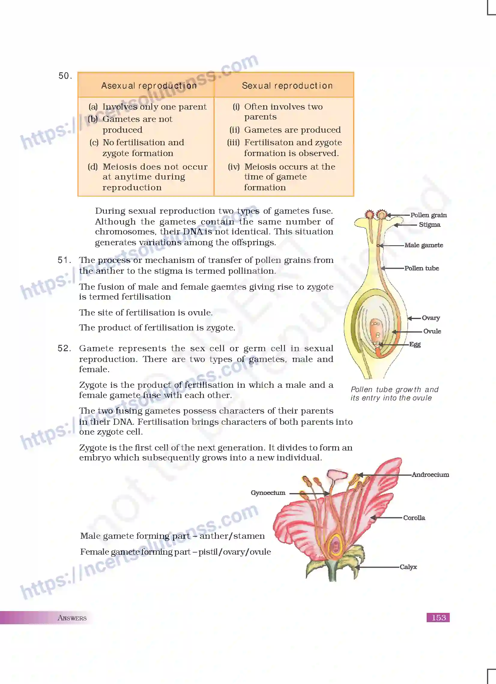 NCERT-Exemplar-Questions-Class-10-Science--Answers-180-page-37