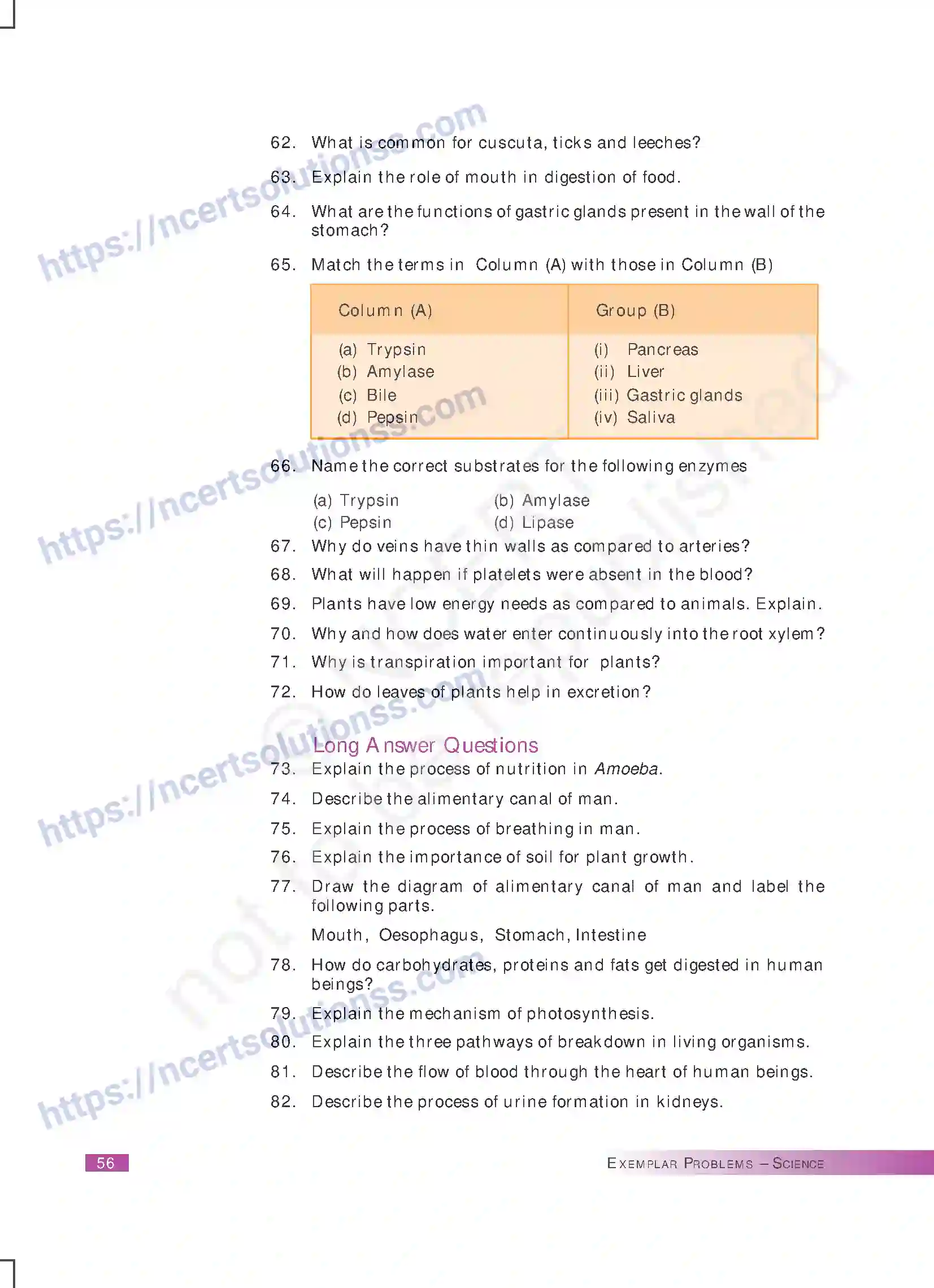 NCERT-Exemplar-Questions-Class-10-Science--Life-Processes-167-page-9