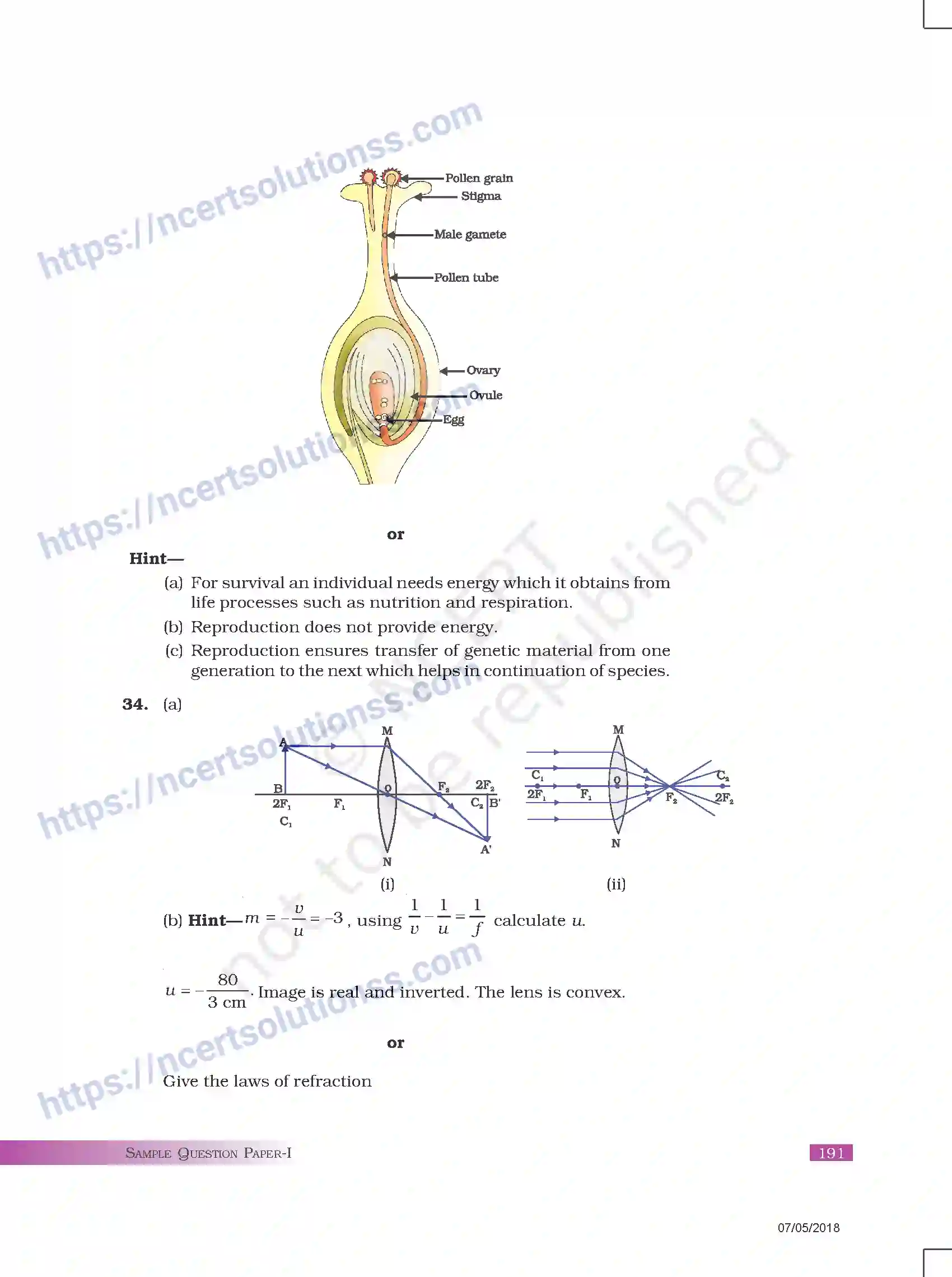 NCERT-Exemplar-Questions-Class-10-Science--Sample-Question-Paper-I-178-page-12
