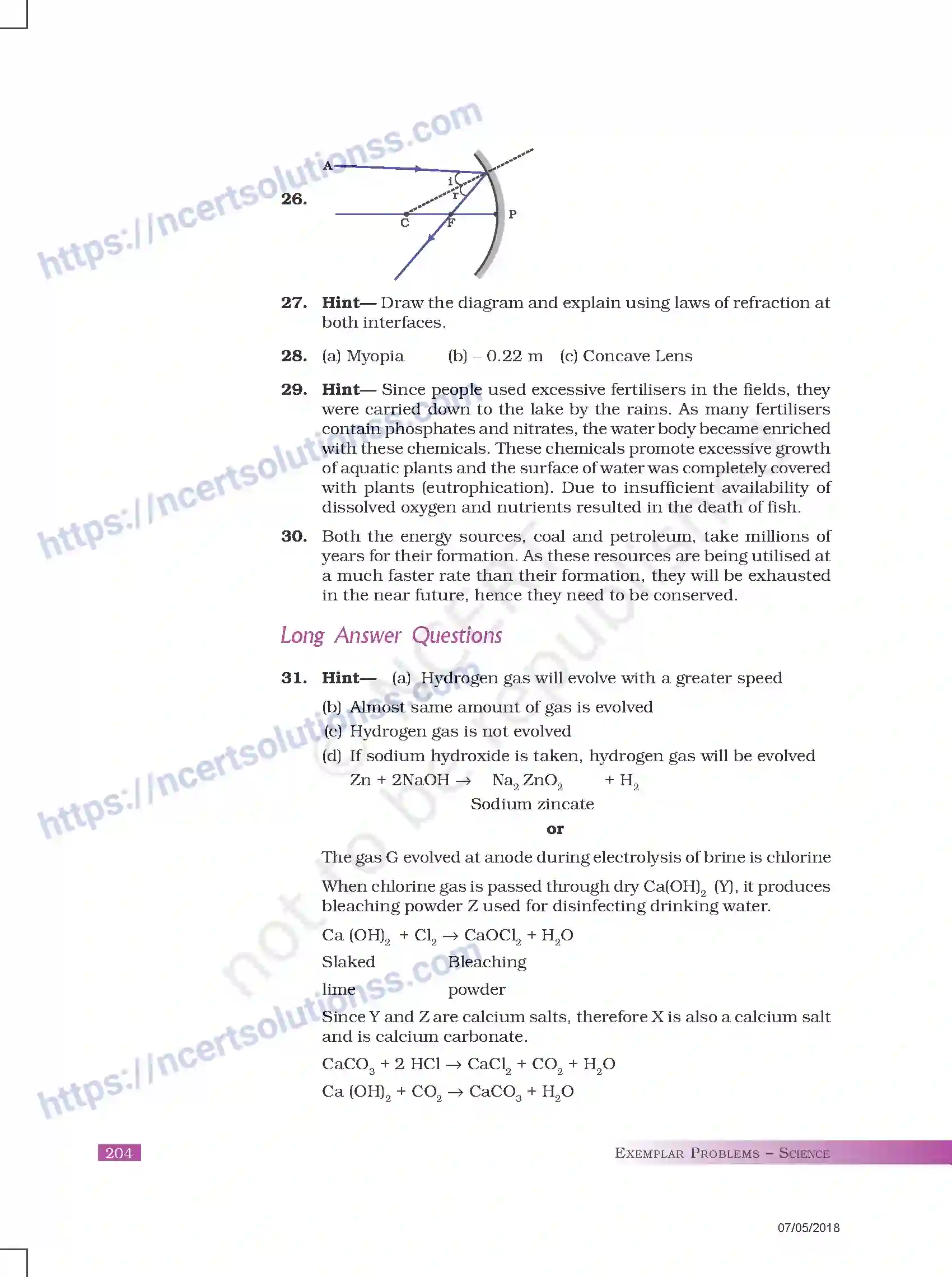 NCERT-Exemplar-Questions-Class-10-Science--Sample-Question-Paper-II-179-page-11