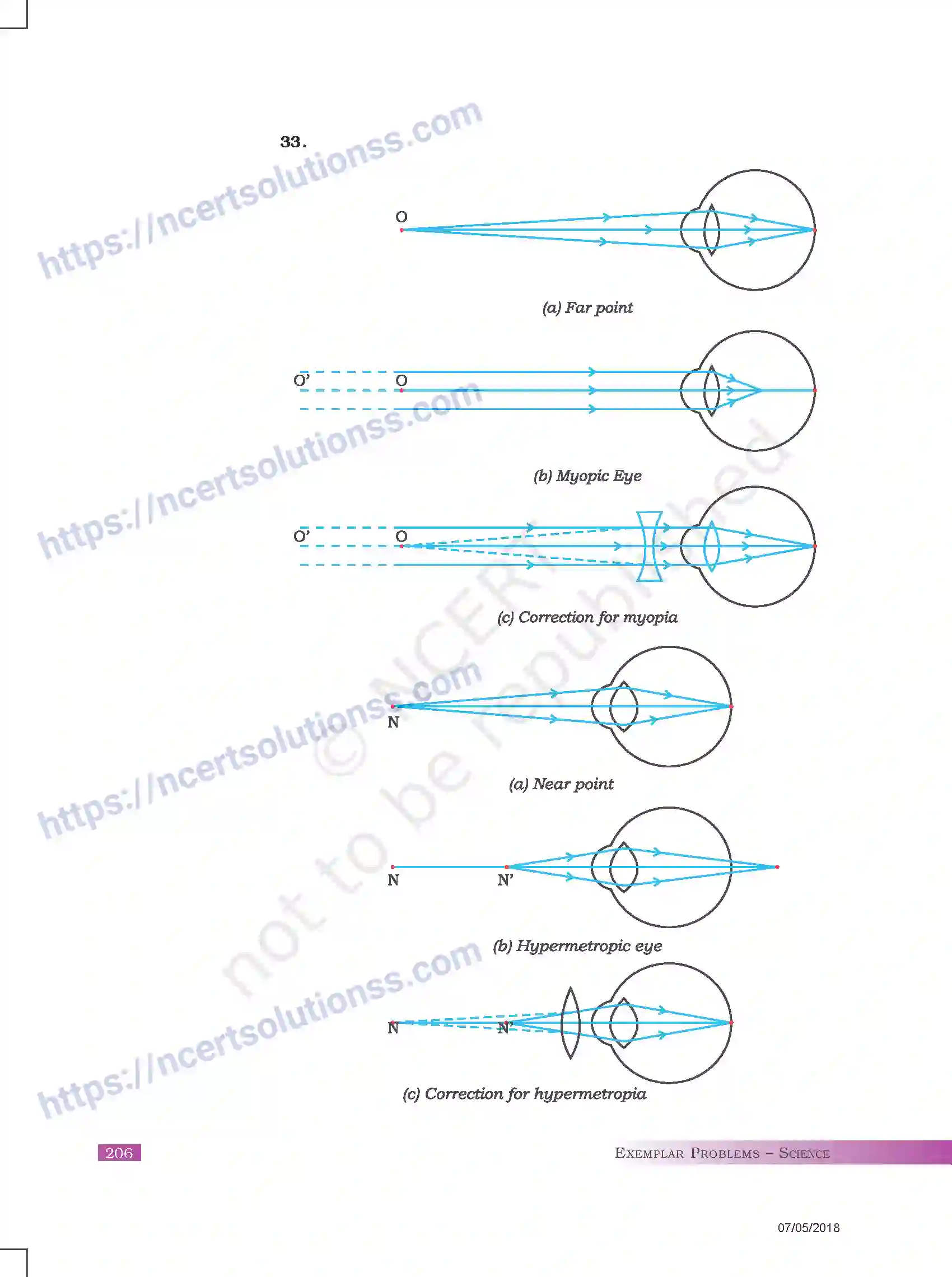 NCERT-Exemplar-Questions-Class-10-Science--Sample-Question-Paper-II-179-page-13