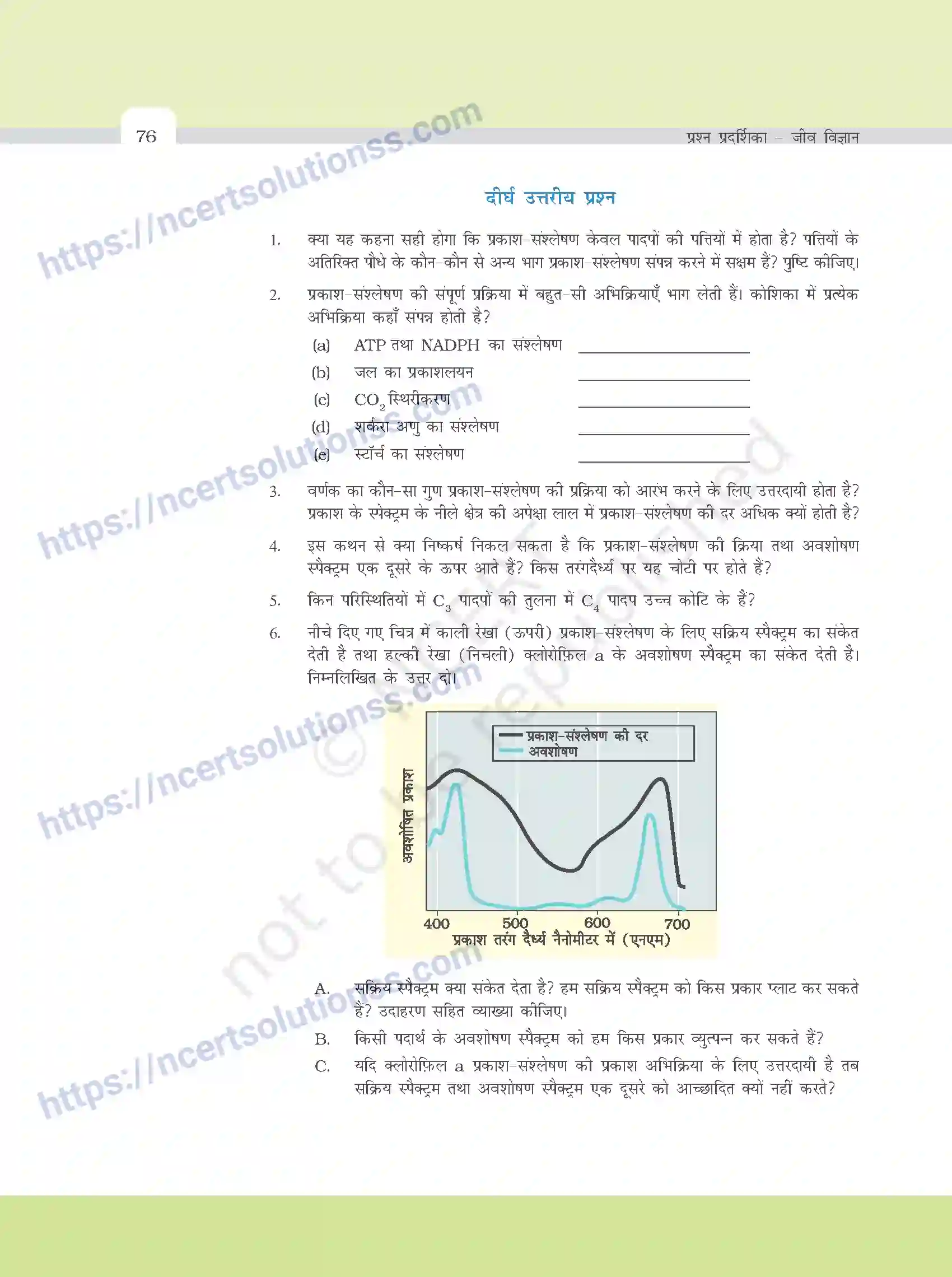 NCERT-Exemplar-Questions-Class-11-Biology--उच्च-पादपो-मे-प्रकाश---संश्लेषण-384-page-8