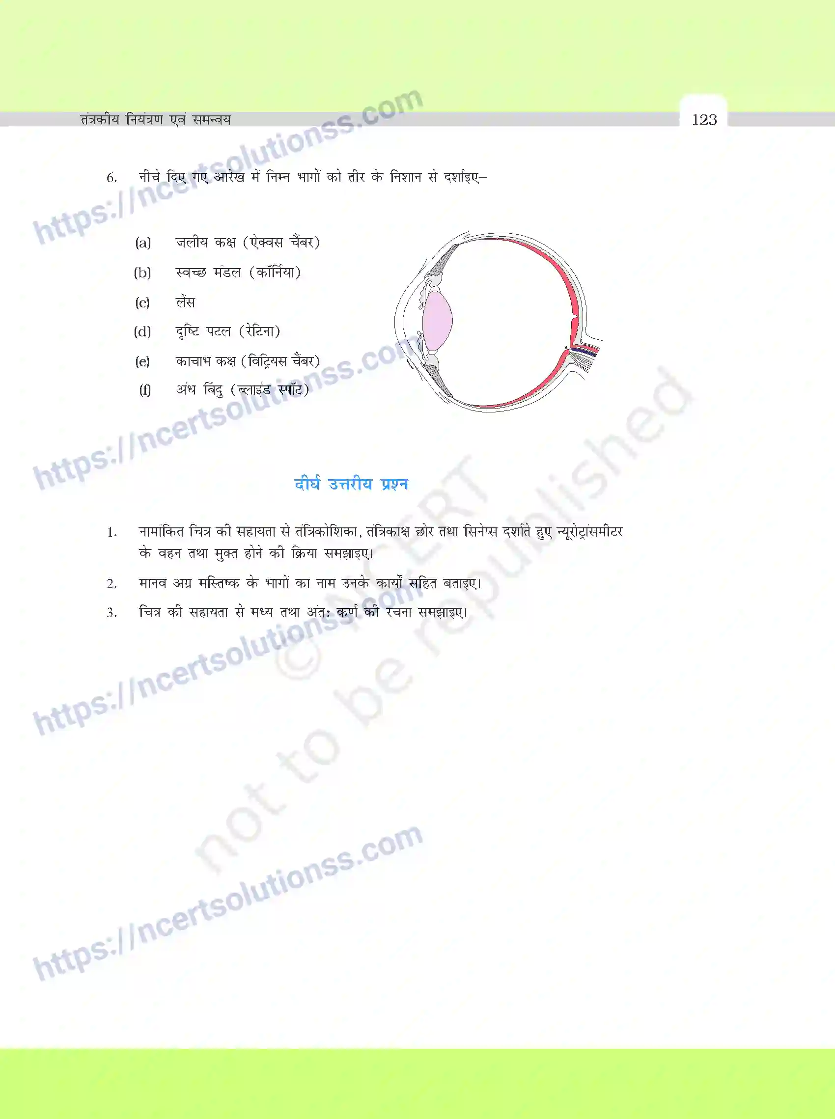 NCERT-Exemplar-Questions-Class-11-Biology--तंत्रकीय-नियंत्रण-एवं-समन्वय-392-page-5
