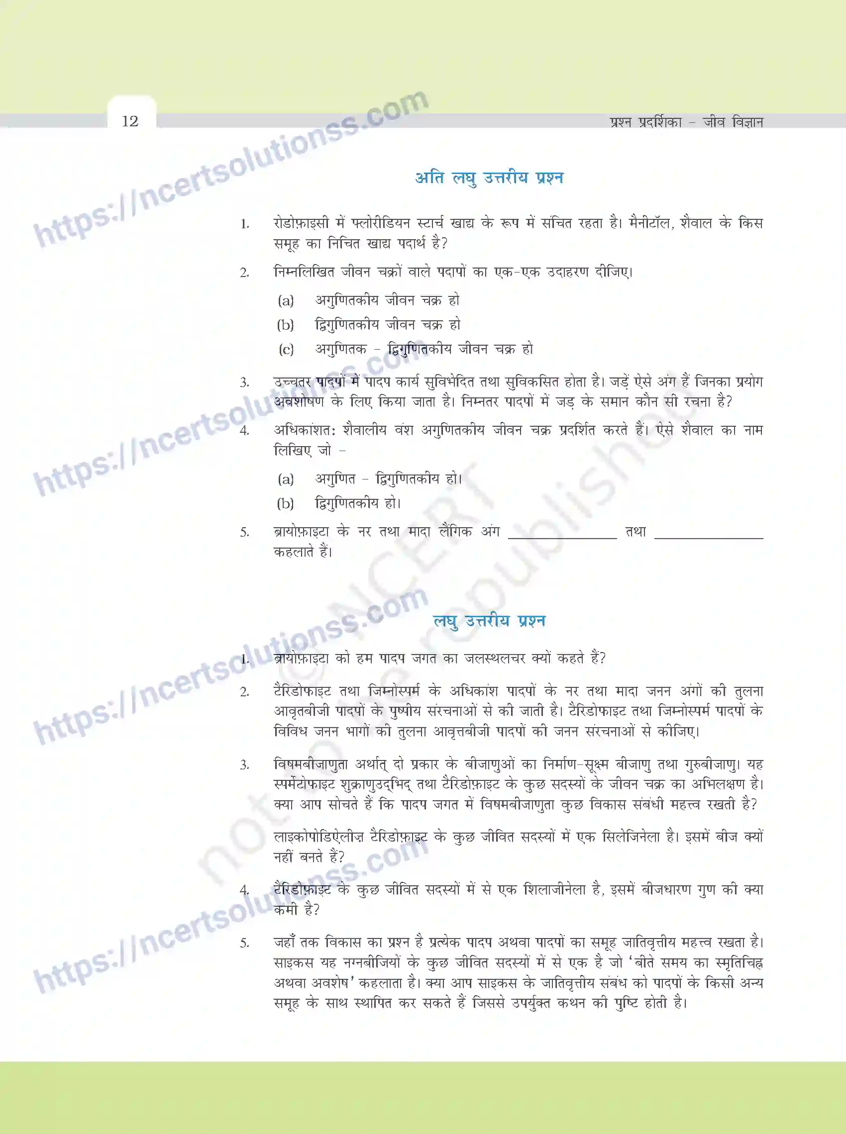 NCERT-Exemplar-Questions-Class-11-Biology--पादप-जगत-374-page-3