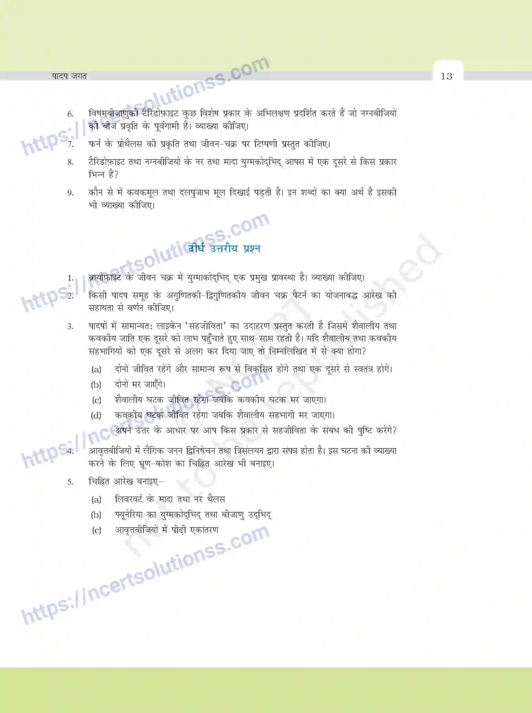 NCERT-Exemplar-Questions-Class-11-Biology--पादप-जगत-374-page-4