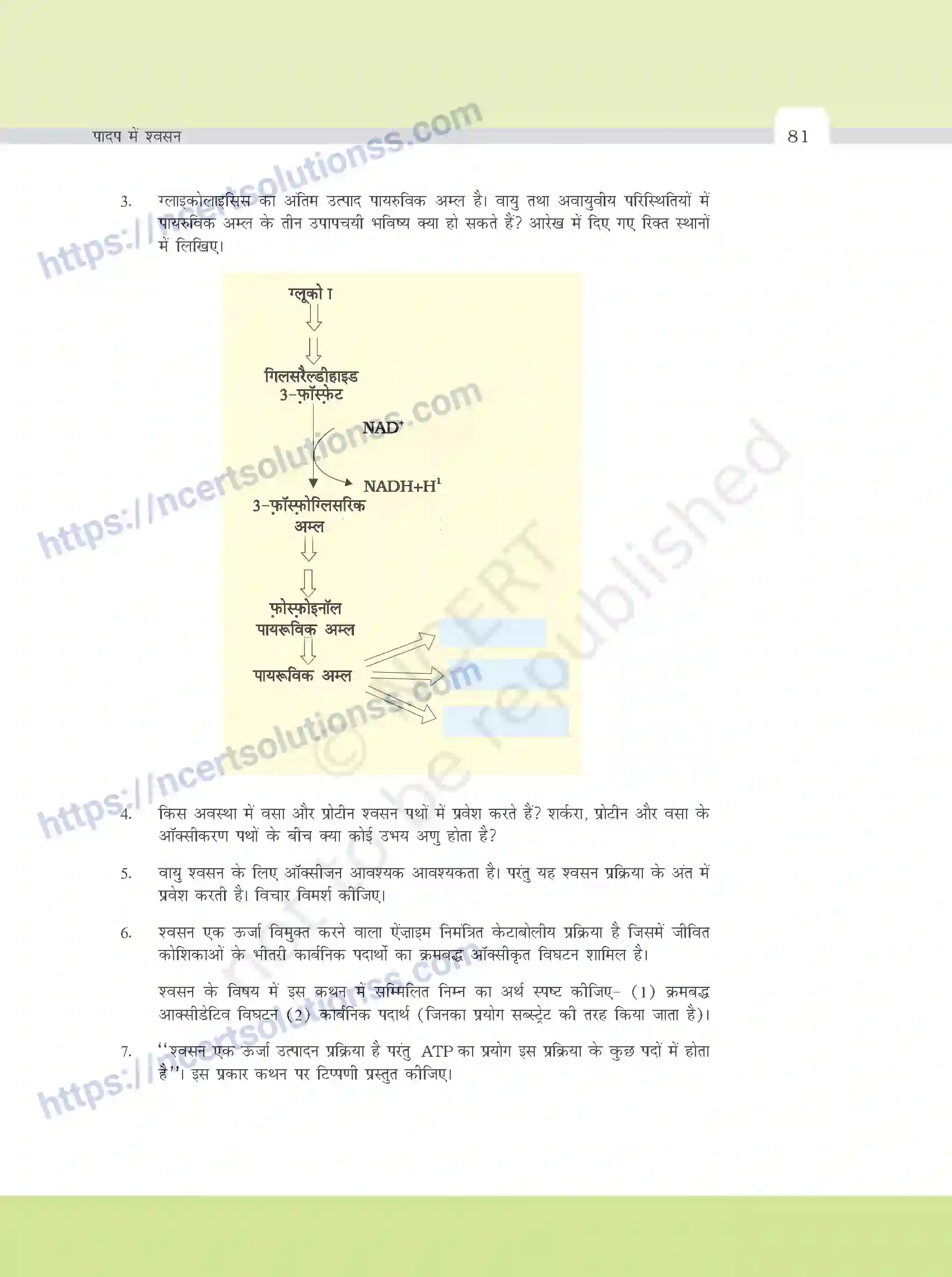 NCERT-Exemplar-Questions-Class-11-Biology--पादप-मे-श्वसन-385-page-4