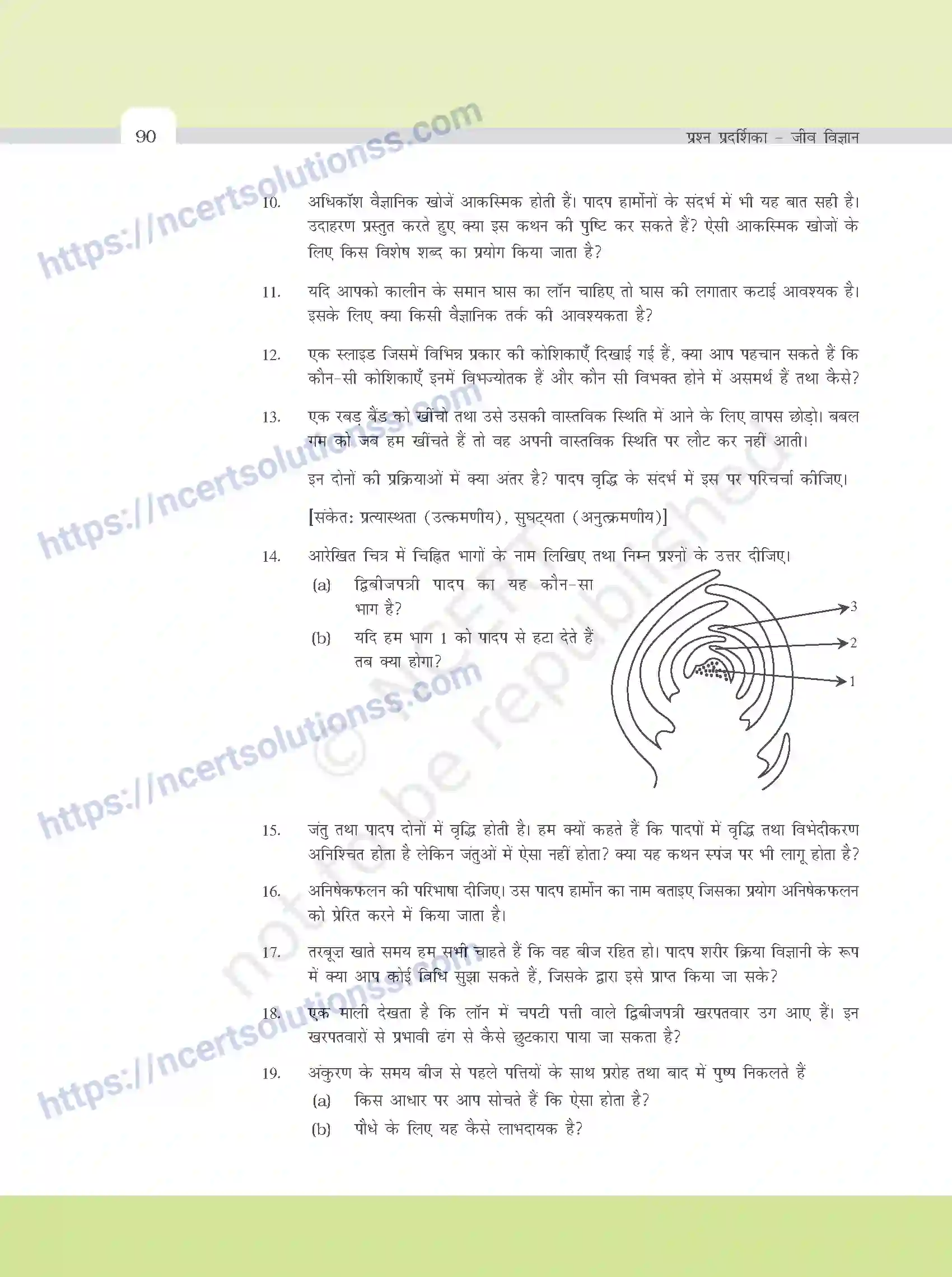 NCERT-Exemplar-Questions-Class-11-Biology--पादप-व्रधि-एवं-परिवर्धन-386-page-6