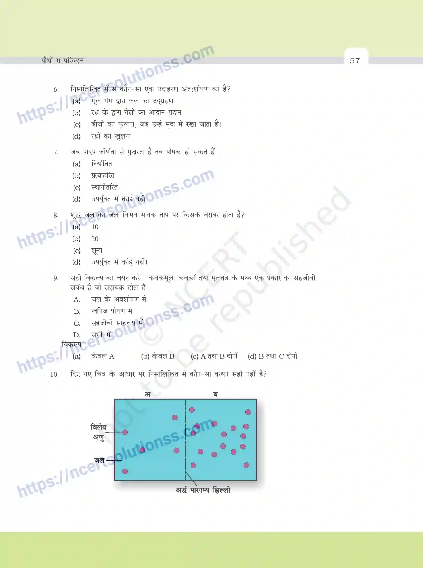 NCERT-Exemplar-Questions-Class-11-Biology--पौधों-मे-परिवहन-382-page-2
