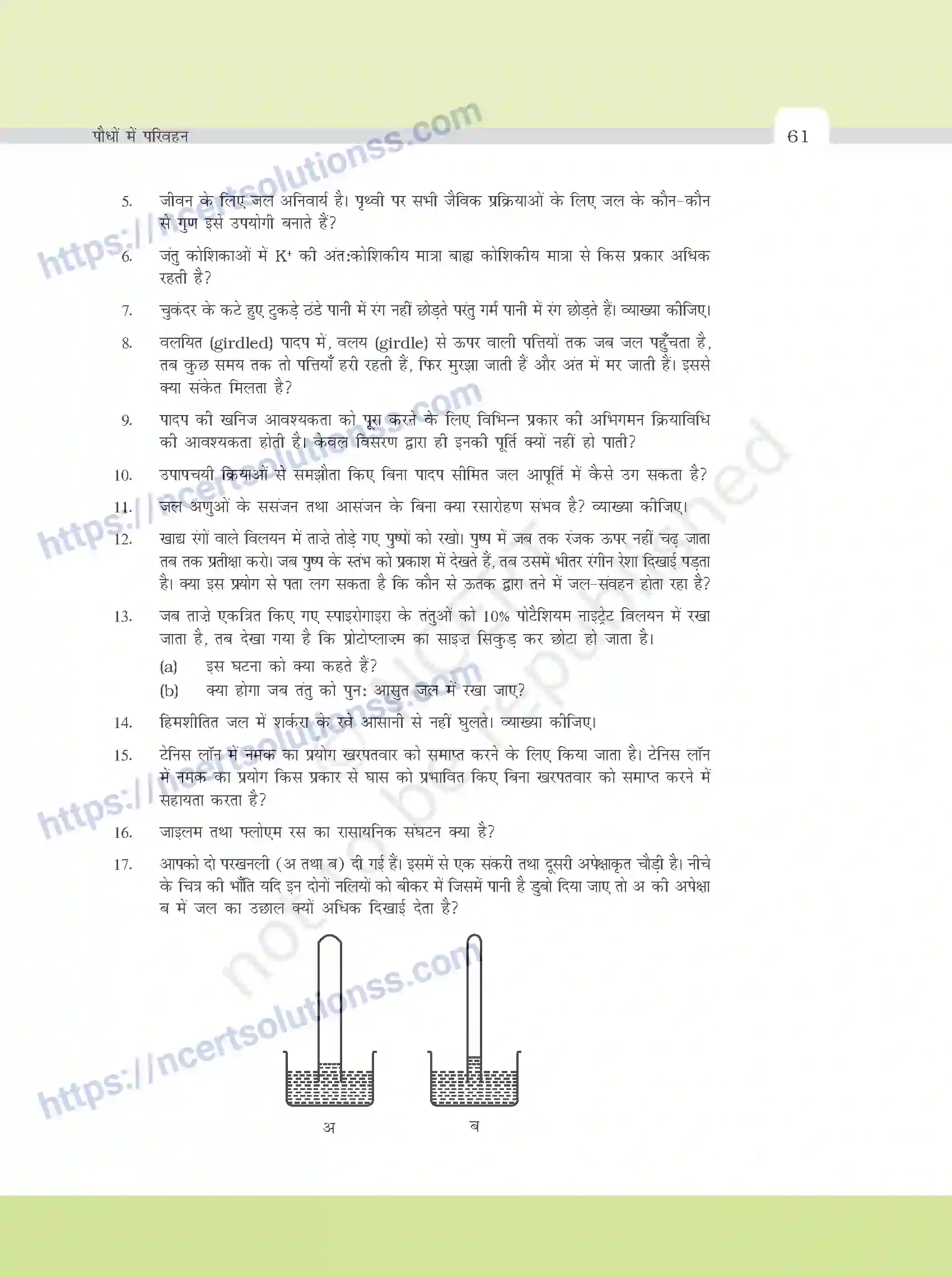 NCERT-Exemplar-Questions-Class-11-Biology--पौधों-मे-परिवहन-382-page-6