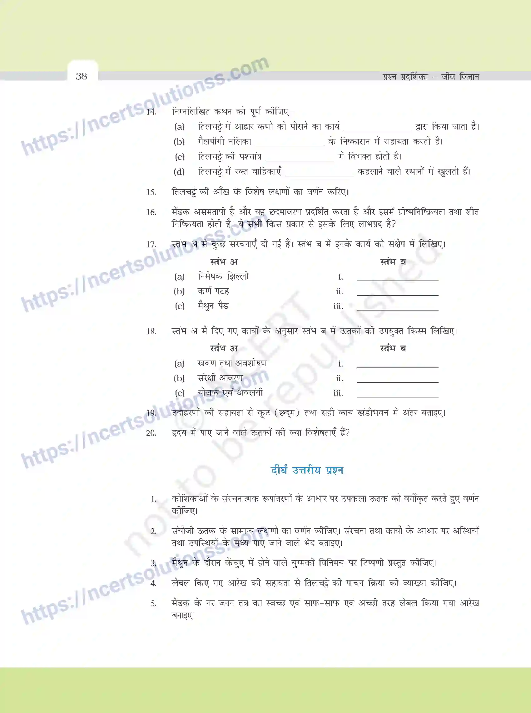 NCERT-Exemplar-Questions-Class-11-Biology--प्राणियों-मे-संरचनात्मक-संगठन-378-page-5