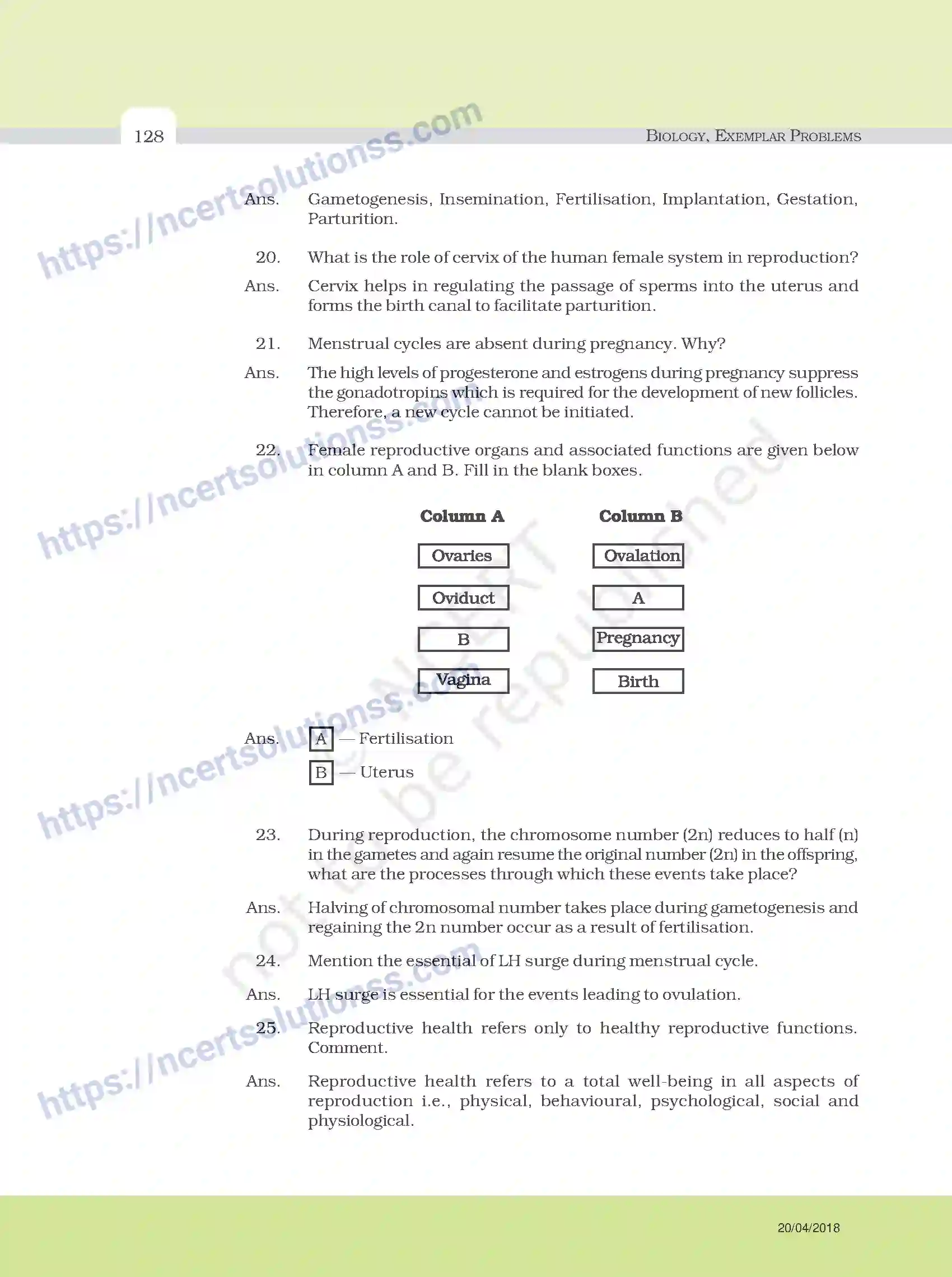 NCERT-Exemplar-Questions-Class-12-Biology--Model-Answers-to-Descriptive-Questions-33-page-4