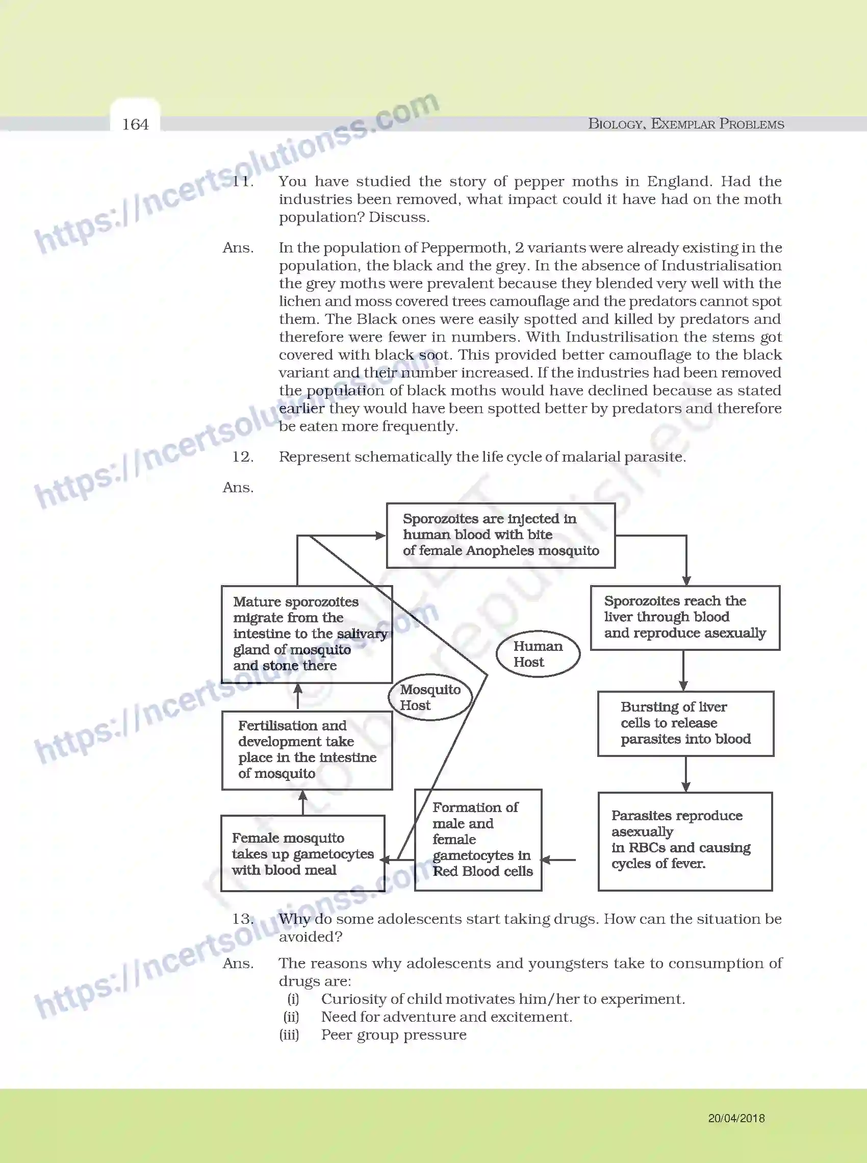 NCERT-Exemplar-Questions-Class-12-Biology--Model-Answers-to-Descriptive-Questions-33-page-40