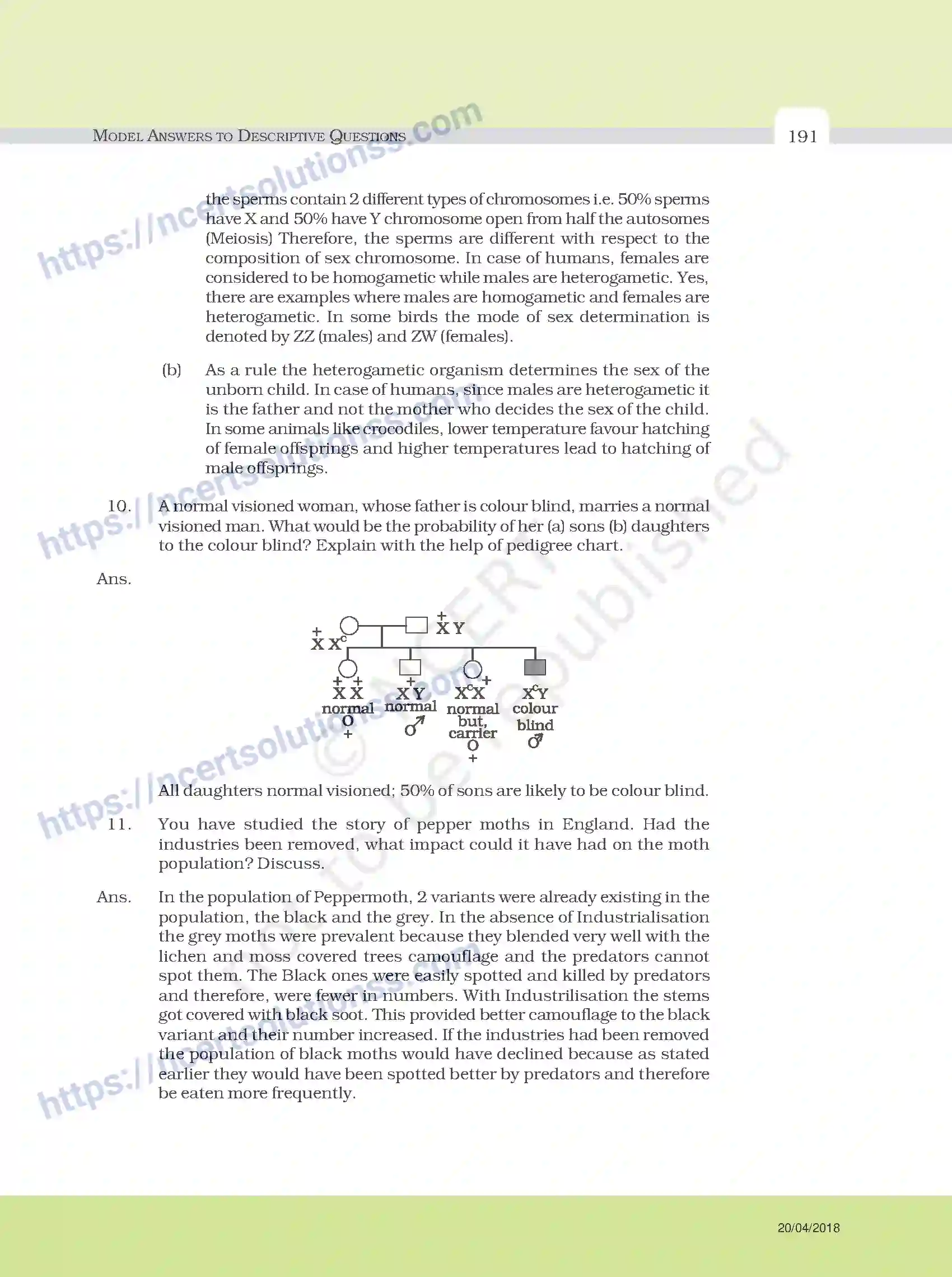 NCERT-Exemplar-Questions-Class-12-Biology--Model-Answers-to-Descriptive-Questions-33-page-67