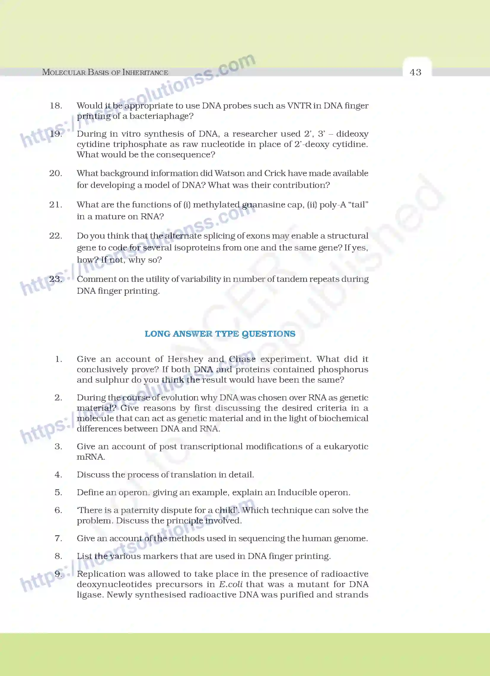 NCERT-Exemplar-Questions-Class-12-Biology--Molecular-Basis-Of-Inheritance-22-page-8