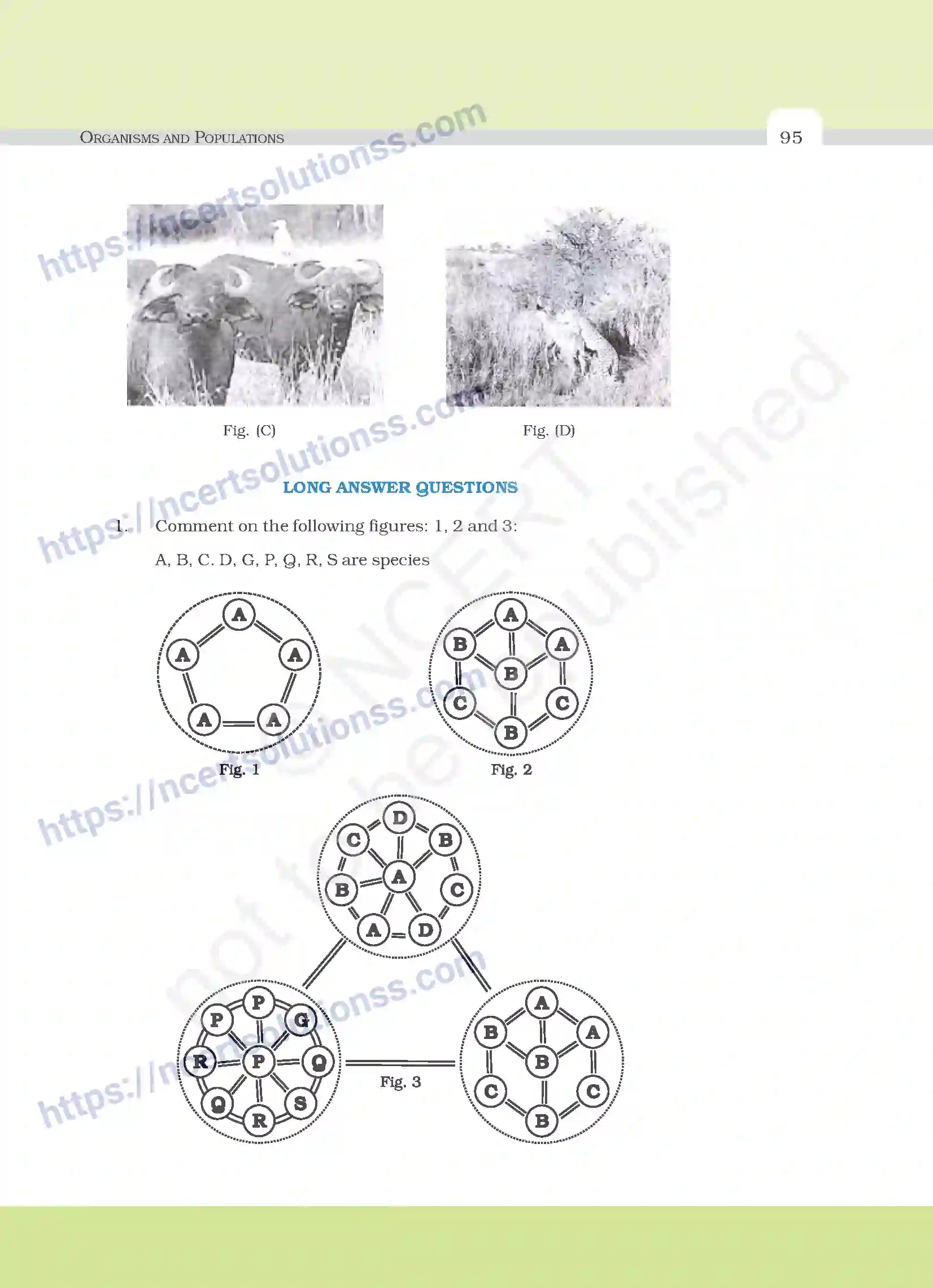NCERT-Exemplar-Questions-Class-12-Biology--Organisms-And-Populations-29-page-8