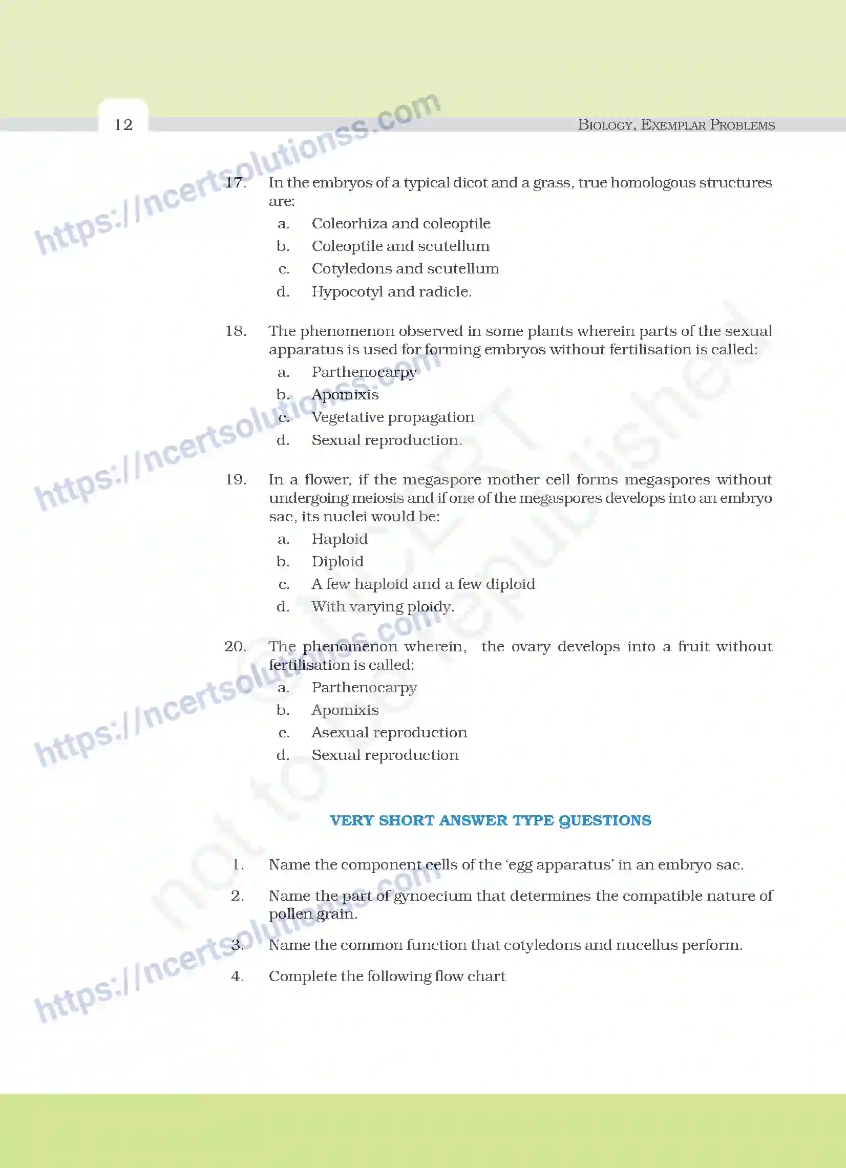 NCERT-Exemplar-Questions-Class-12-Biology--Sexual-Reproduction-In-Flowering-Plants-18-page-4