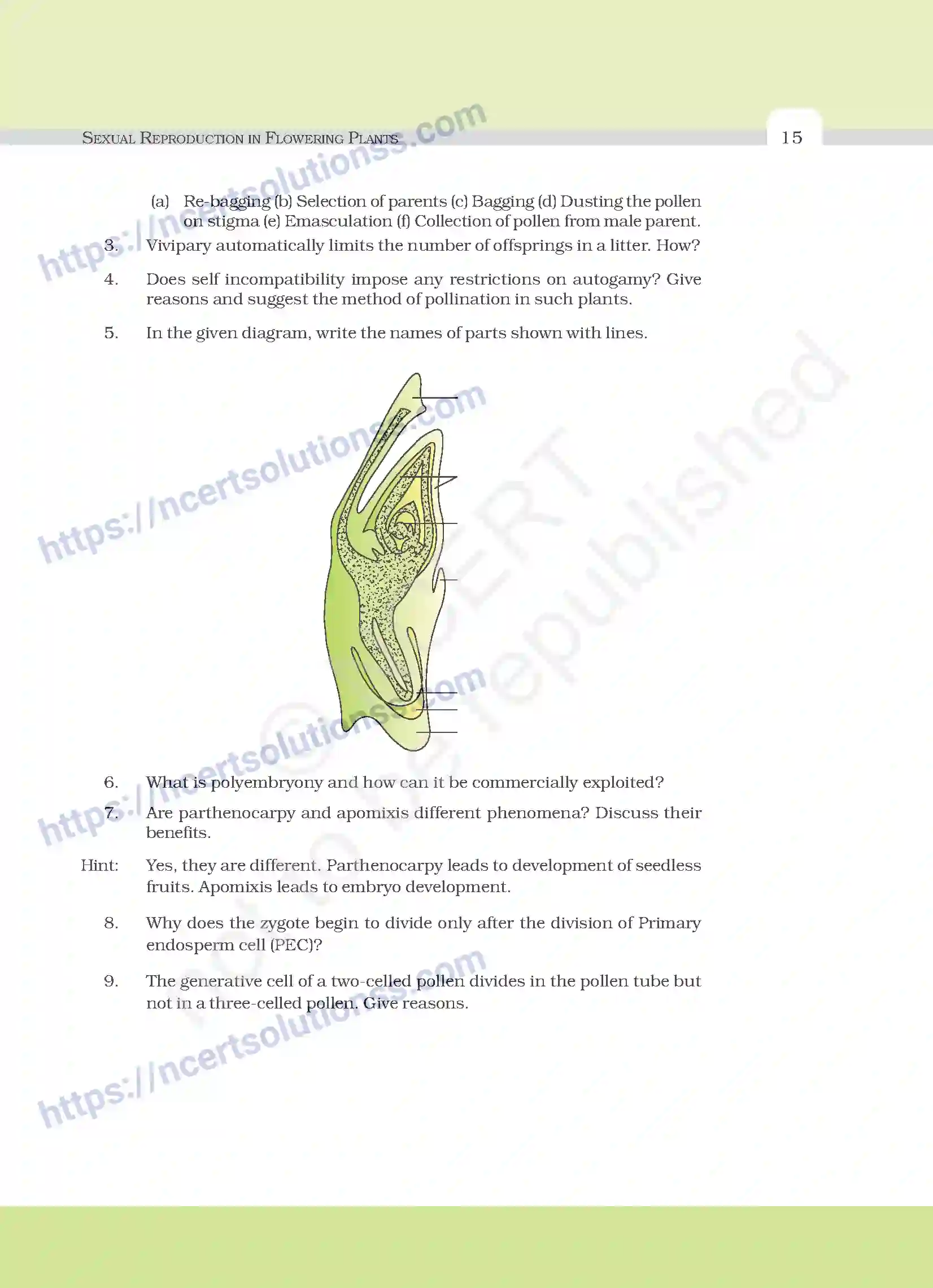 NCERT-Exemplar-Questions-Class-12-Biology--Sexual-Reproduction-In-Flowering-Plants-18-page-7