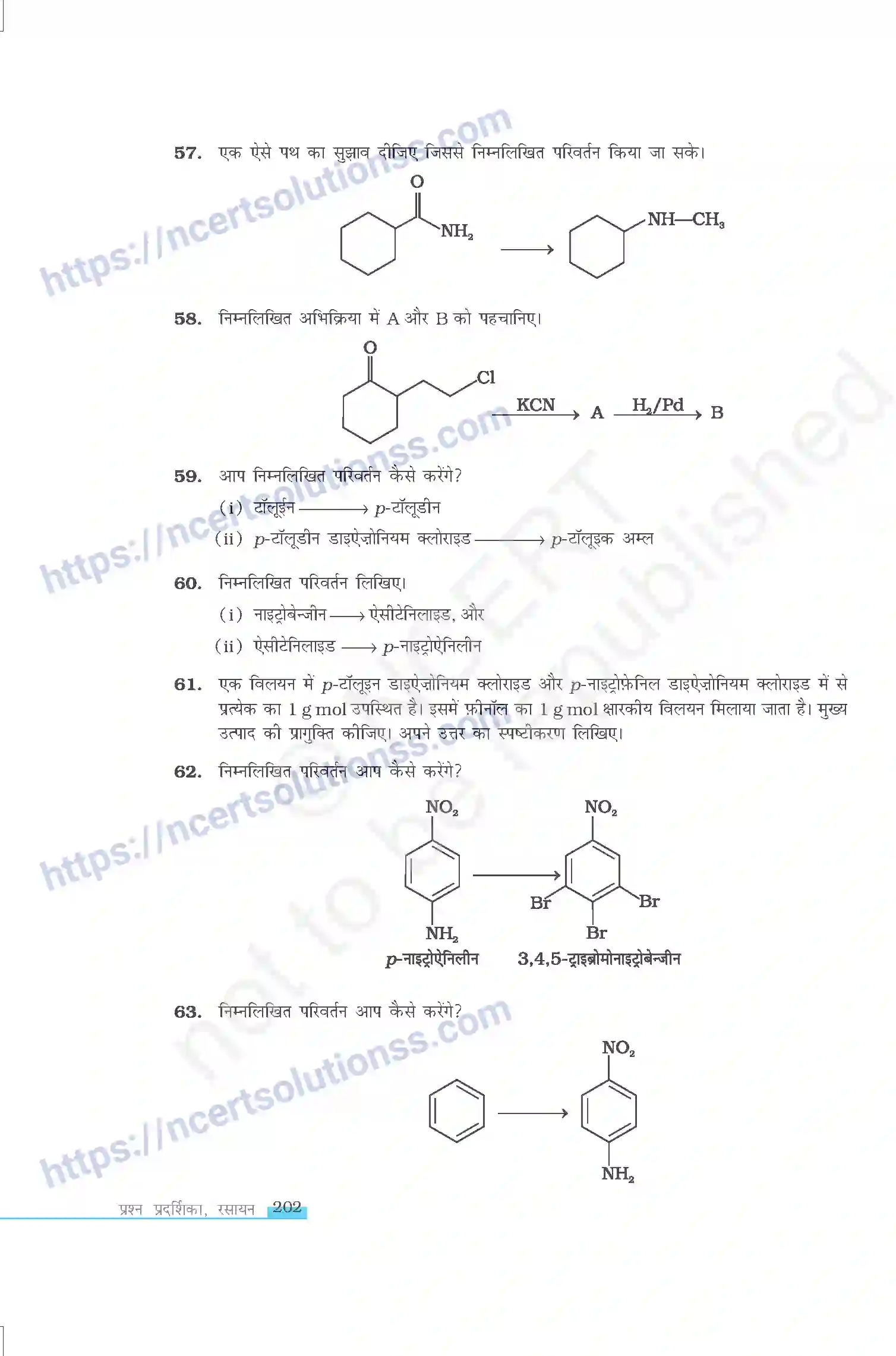 NCERT-Exemplar-Questions-Class-12-Chemistry--ऐमीन-333-page-11