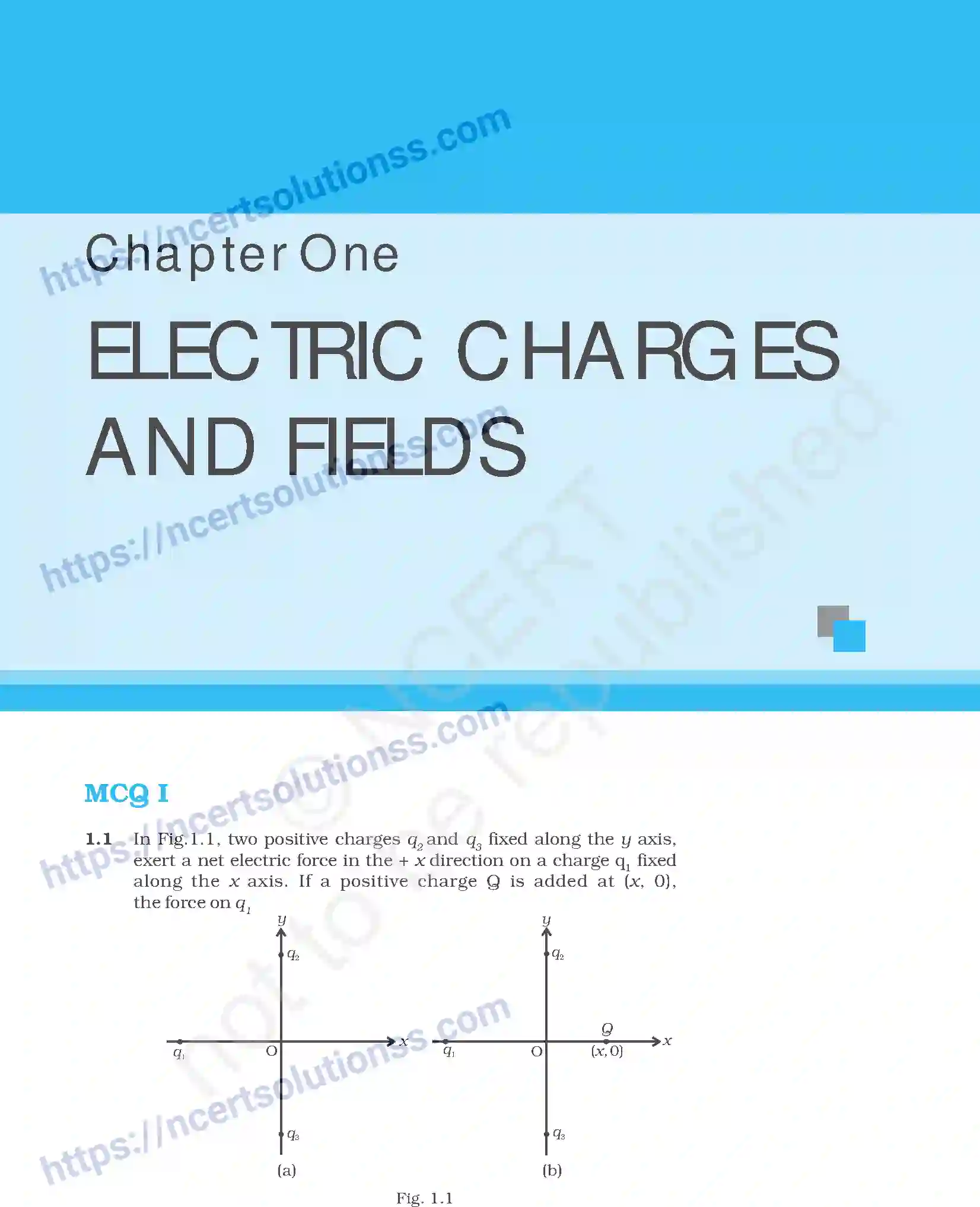NCERT-Exemplar-Questions-Class-12-Physics--Electric-Charges-And-Fields-54-page-1