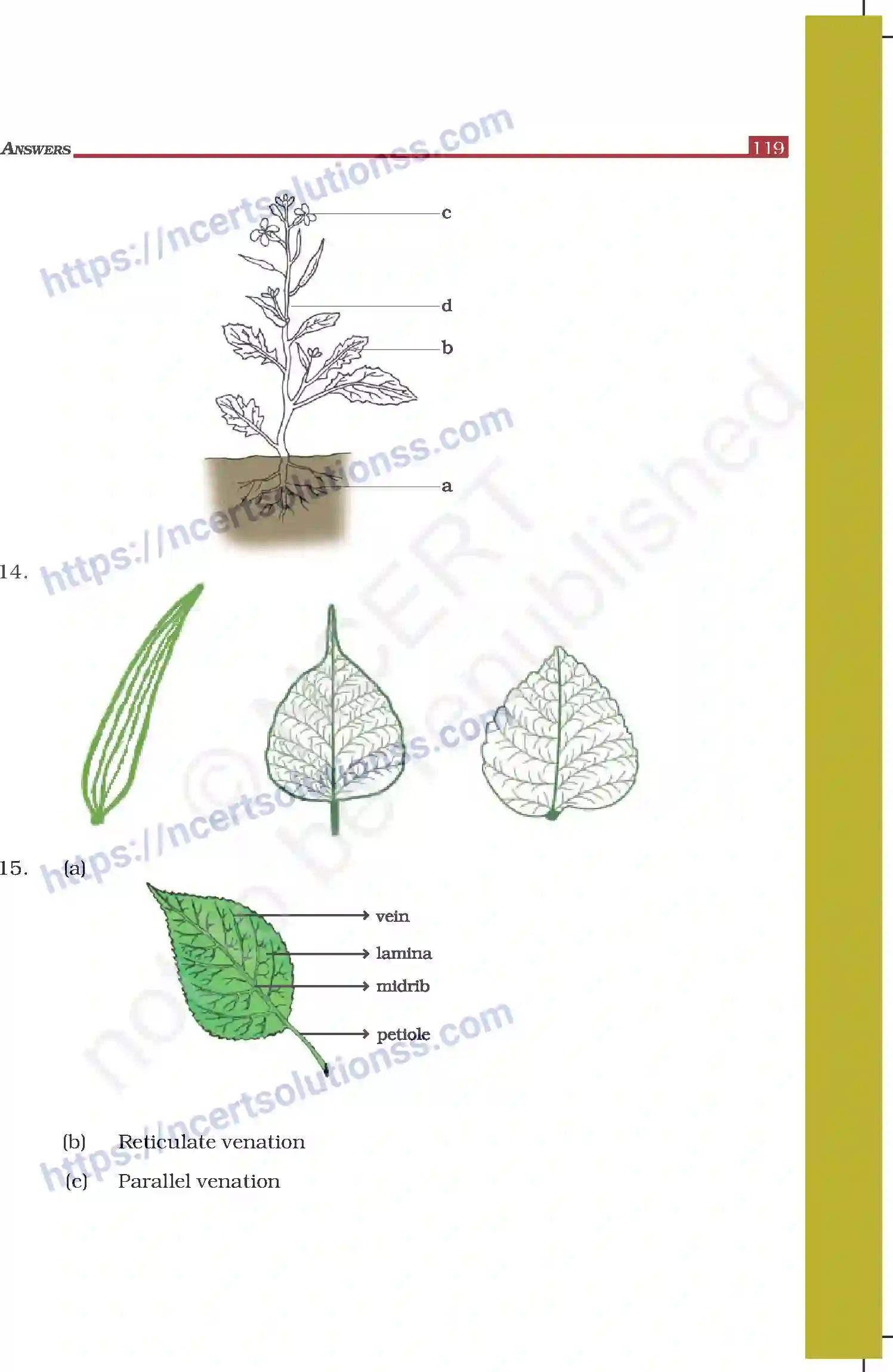 NCERT-Exemplar-Questions-Class-6-Science--Answers-307-page-17