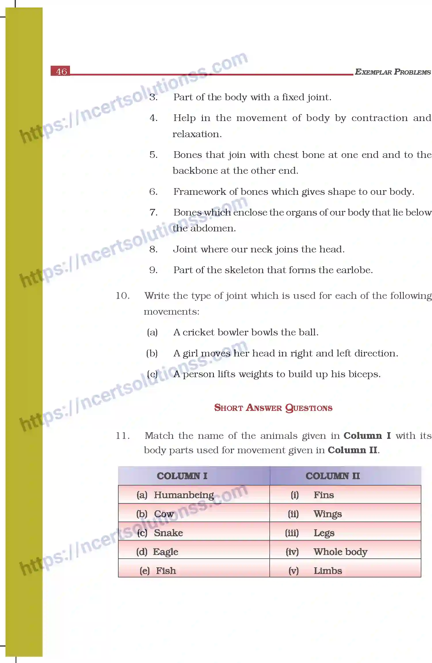 NCERT-Exemplar-Questions-Class-6-Science--Body-Movement-298-page-3