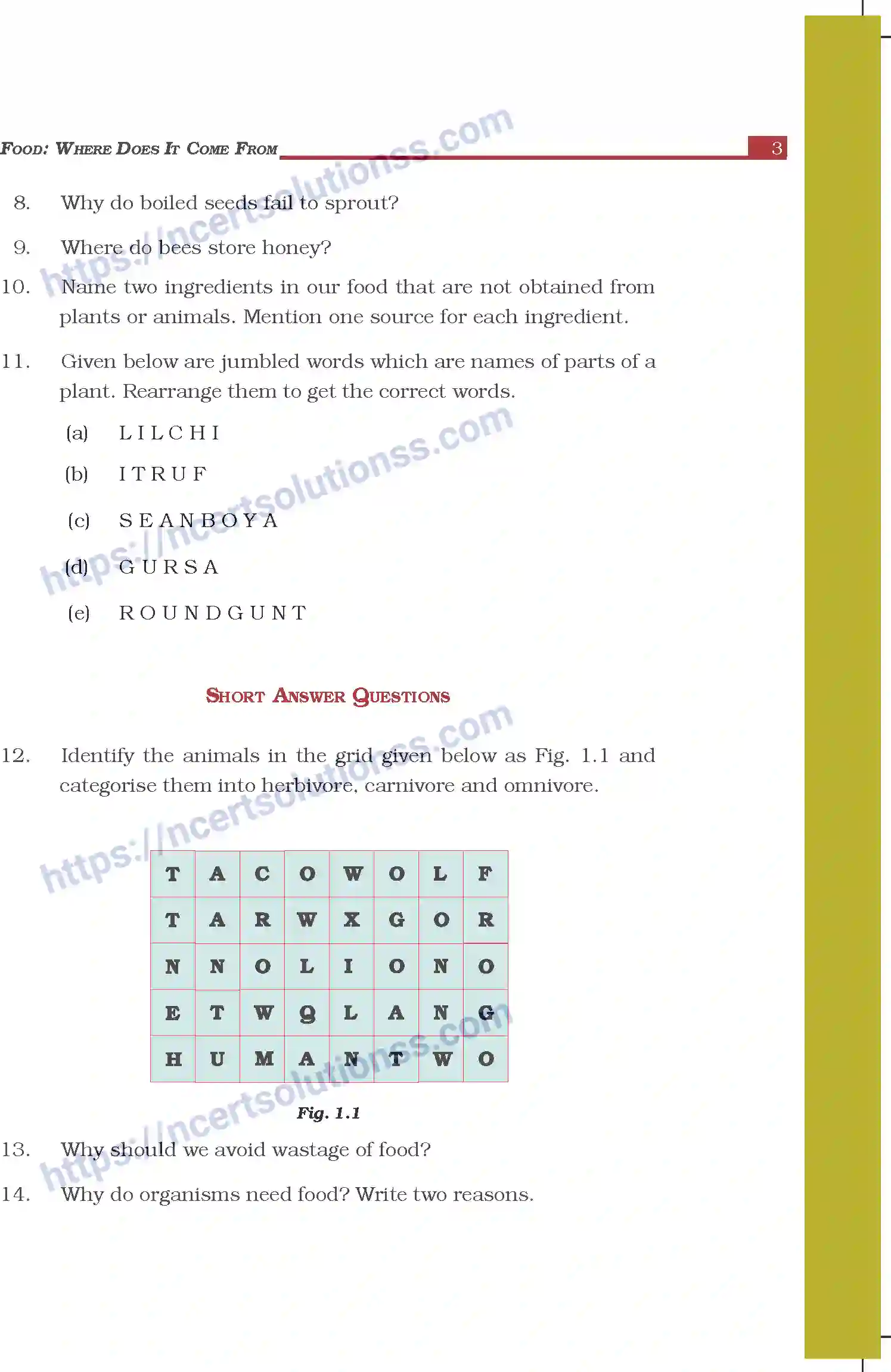 NCERT-Exemplar-Questions-Class-6-Science--Food-Where-Does-It-Come-From-291-page-3