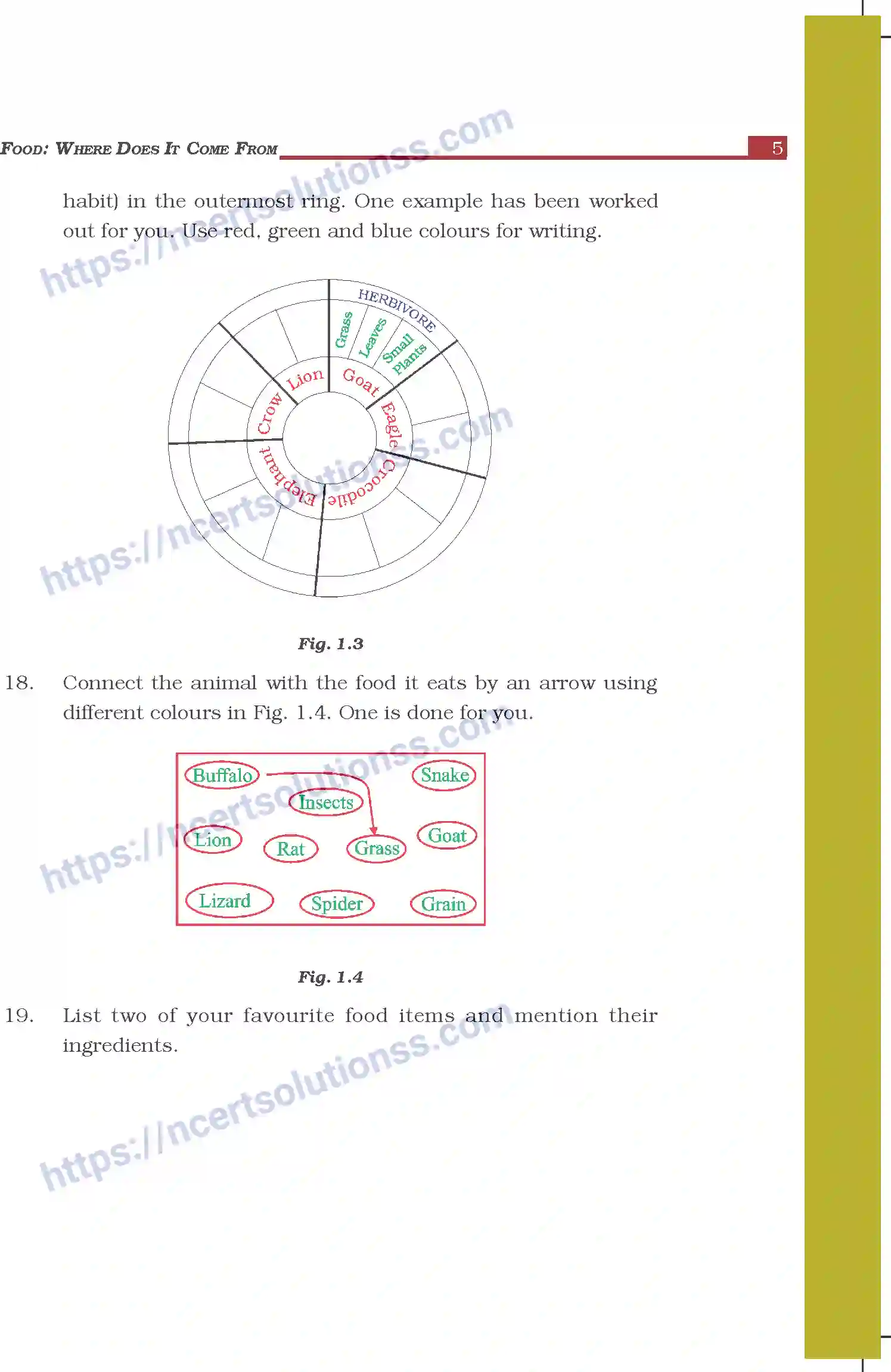 NCERT-Exemplar-Questions-Class-6-Science--Food-Where-Does-It-Come-From-291-page-5
