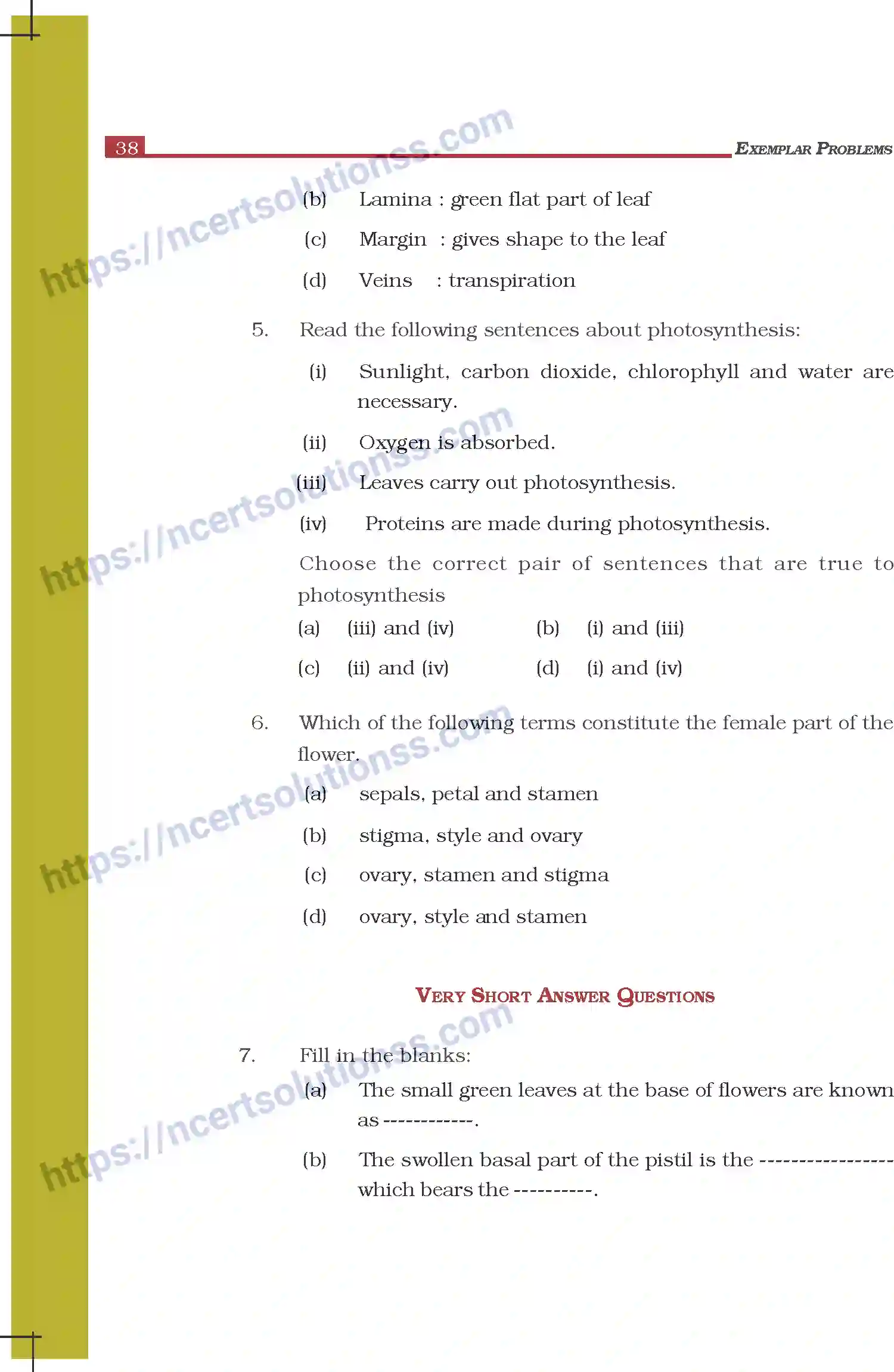 NCERT-Exemplar-Questions-Class-6-Science--Getting-to-Know-Plants-297-page-2
