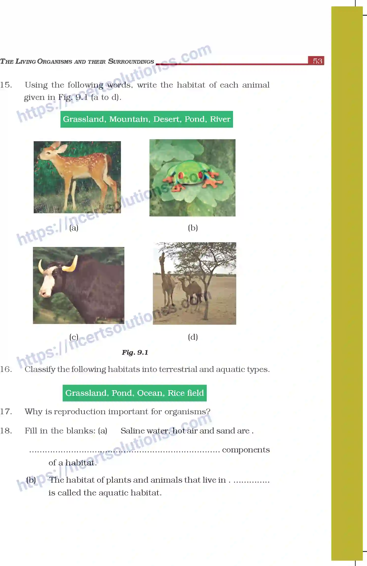 NCERT-Exemplar-Questions-Class-6-Science--The-Living-Organisms-and-their-Surroundings-299-page-5