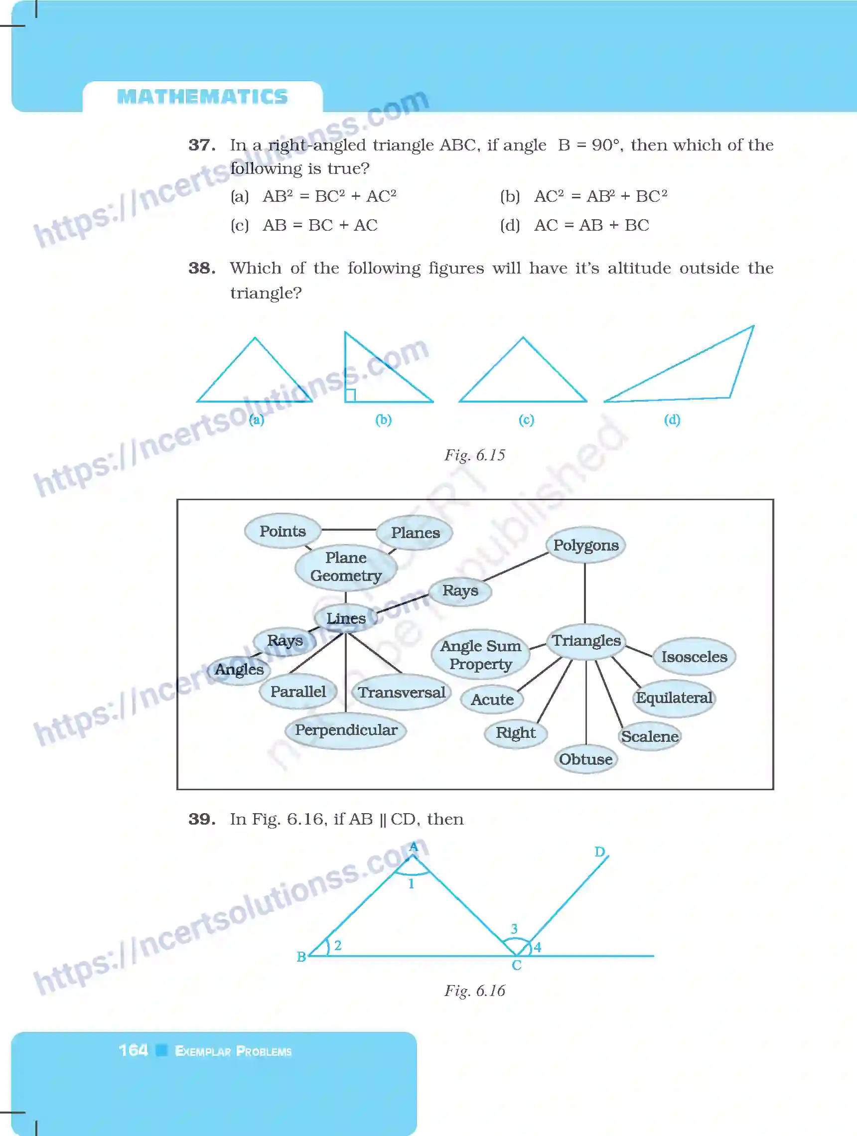 NCERT-Exemplar-Questions-Class-7-Mathematics--Triangles-254-page-12