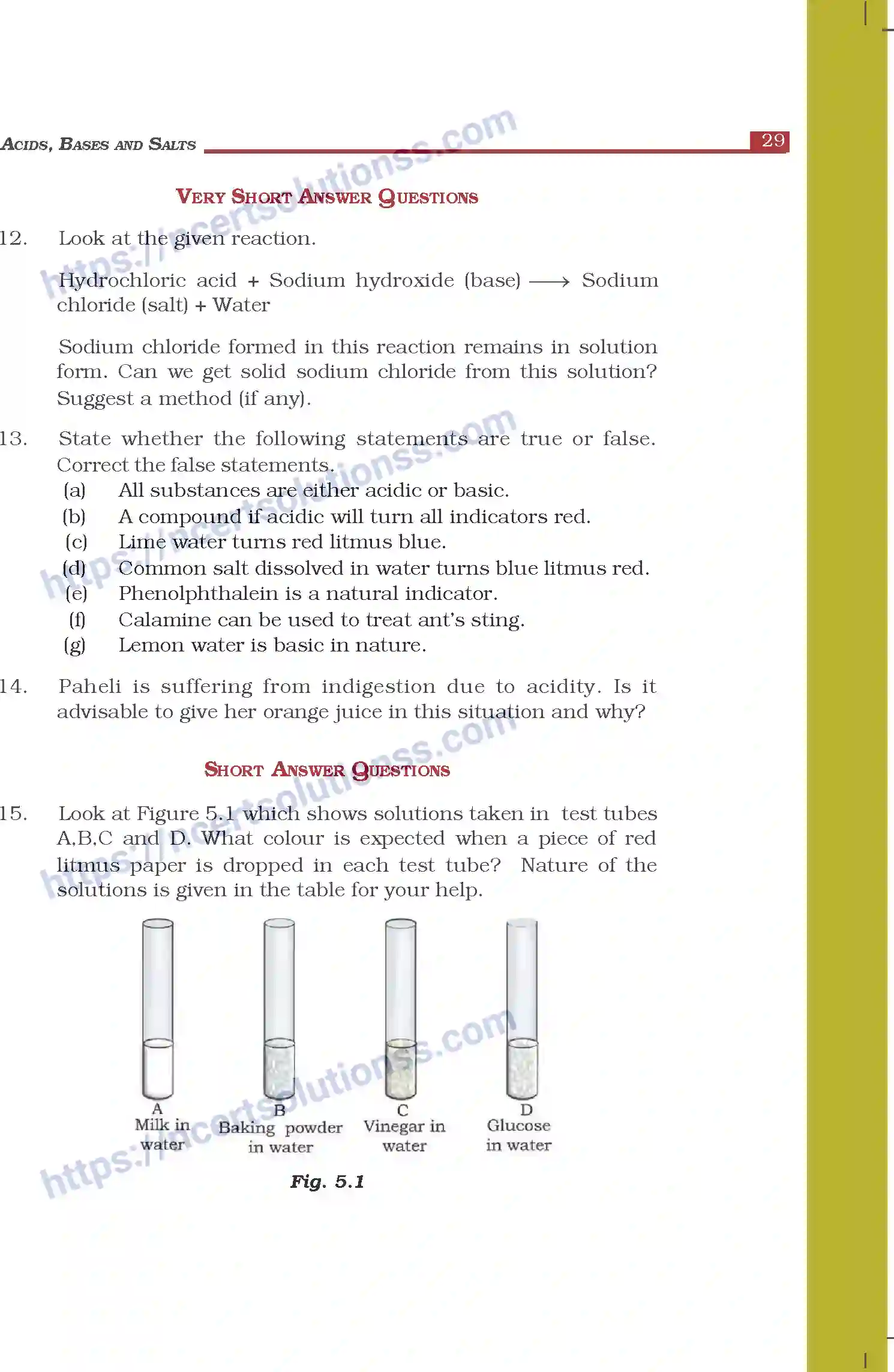 NCERT-Exemplar-Questions-Class-7-Science--Acids-Bases-and-Salts-266-page-3