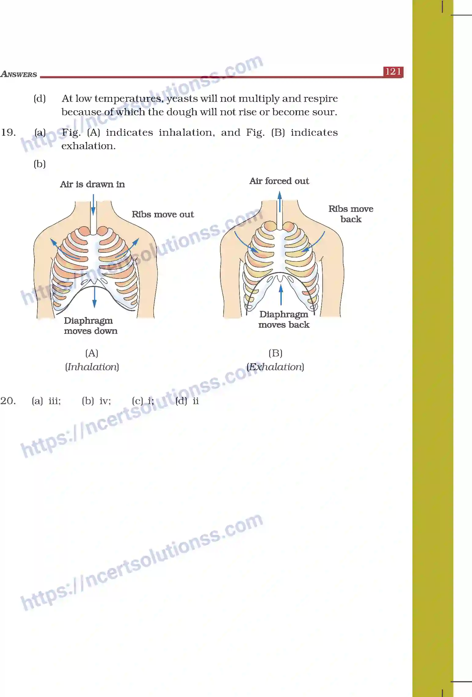 NCERT-Exemplar-Questions-Class-7-Science--Answers-280-page-24