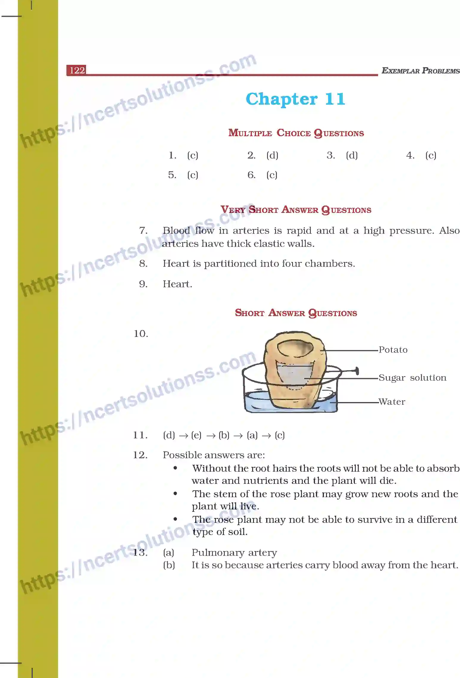 NCERT-Exemplar-Questions-Class-7-Science--Answers-280-page-25
