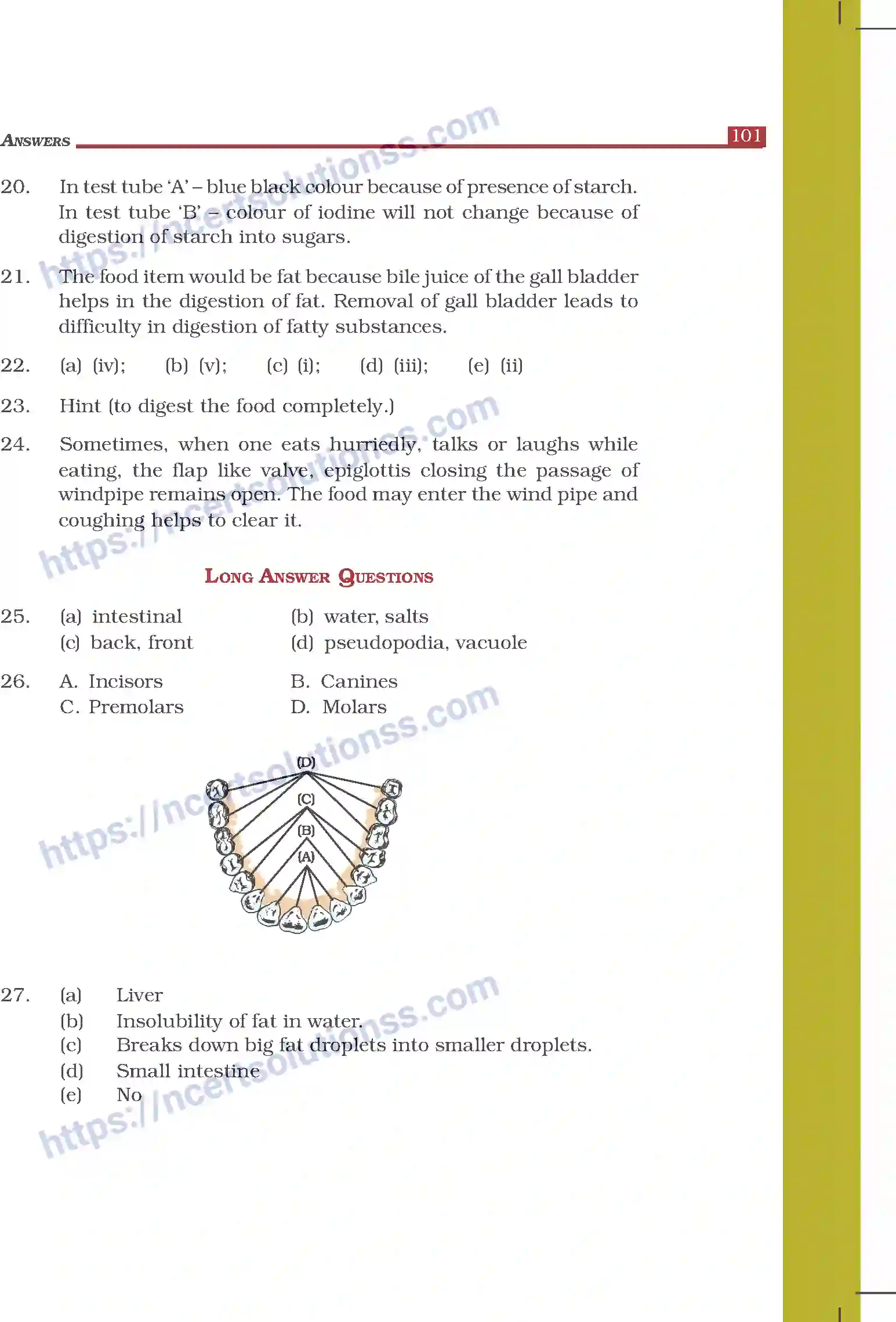 NCERT-Exemplar-Questions-Class-7-Science--Answers-280-page-4