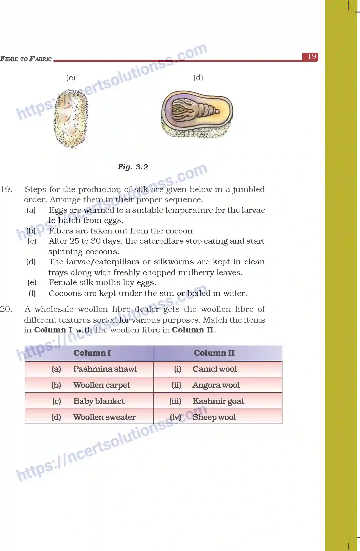 NCERT-Exemplar-Questions-Class-7-Science--Fibre-to-Fabric-264-page-5