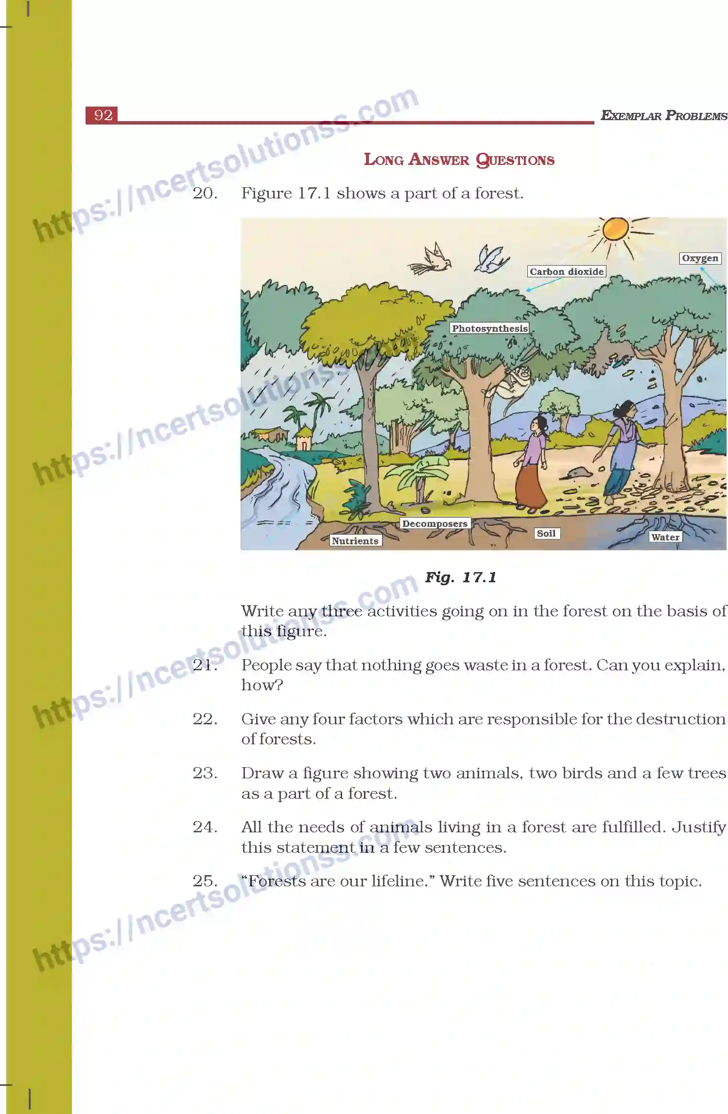 NCERT-Exemplar-Questions-Class-7-Science--Forests--Our-Lifeline-278-page-4
