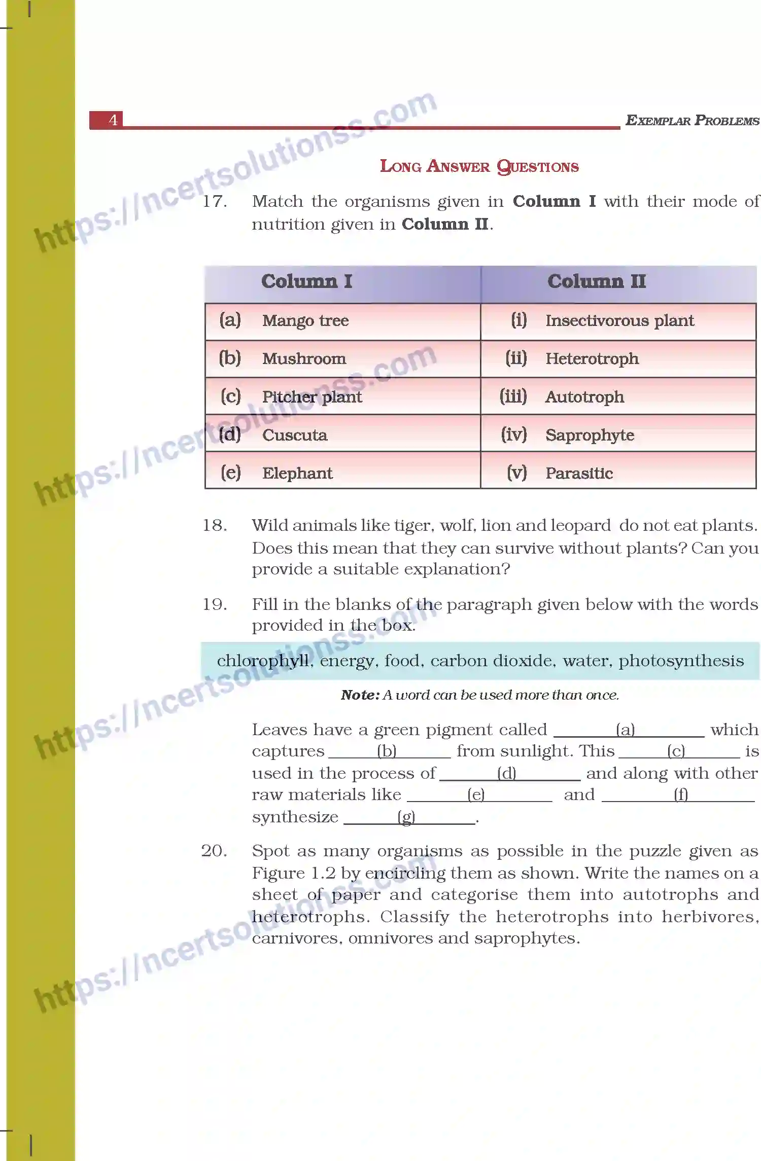 NCERT-Exemplar-Questions-Class-7-Science--Nutrition-in-Plants-262-page-4