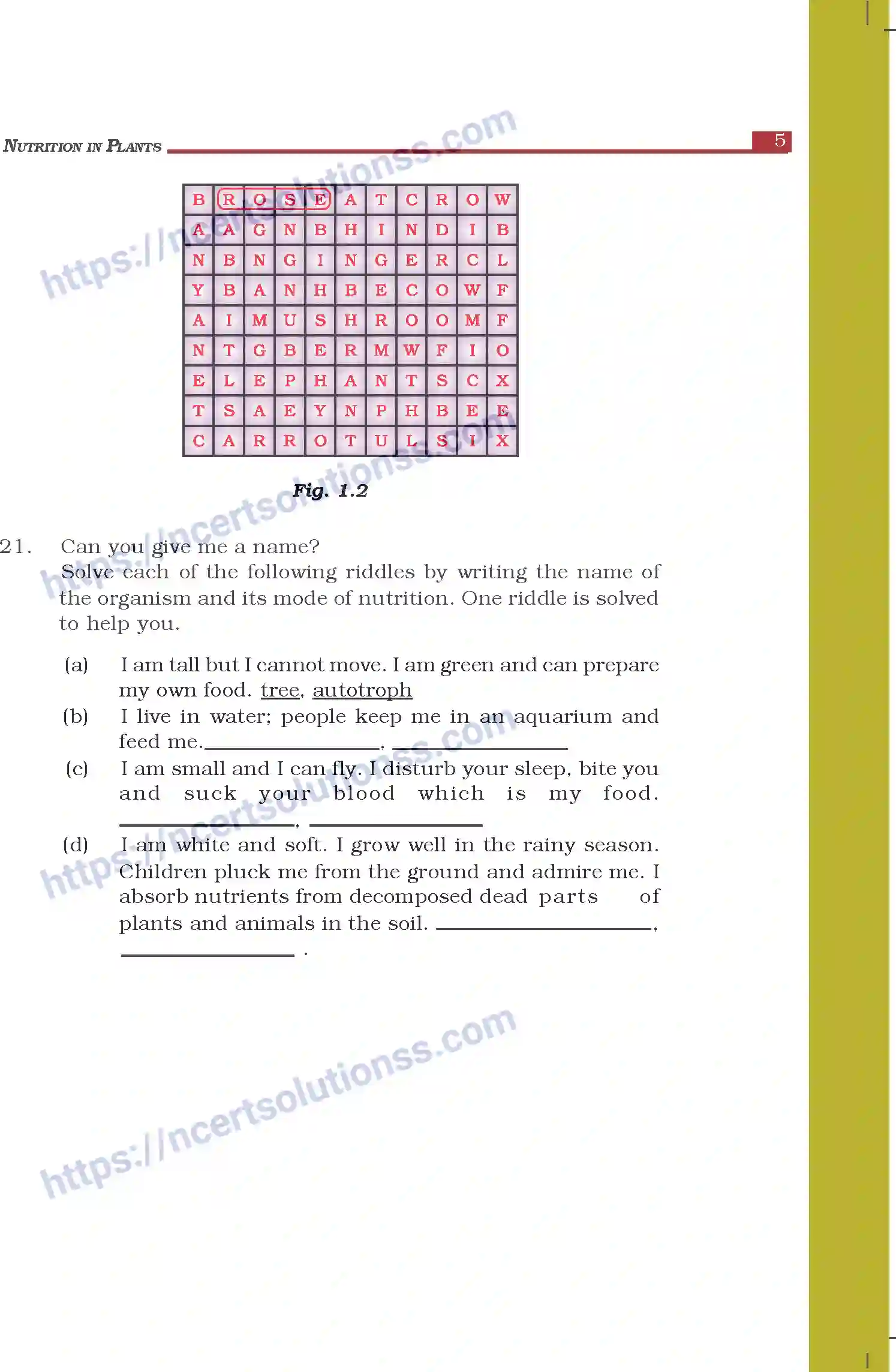 NCERT-Exemplar-Questions-Class-7-Science--Nutrition-in-Plants-262-page-5