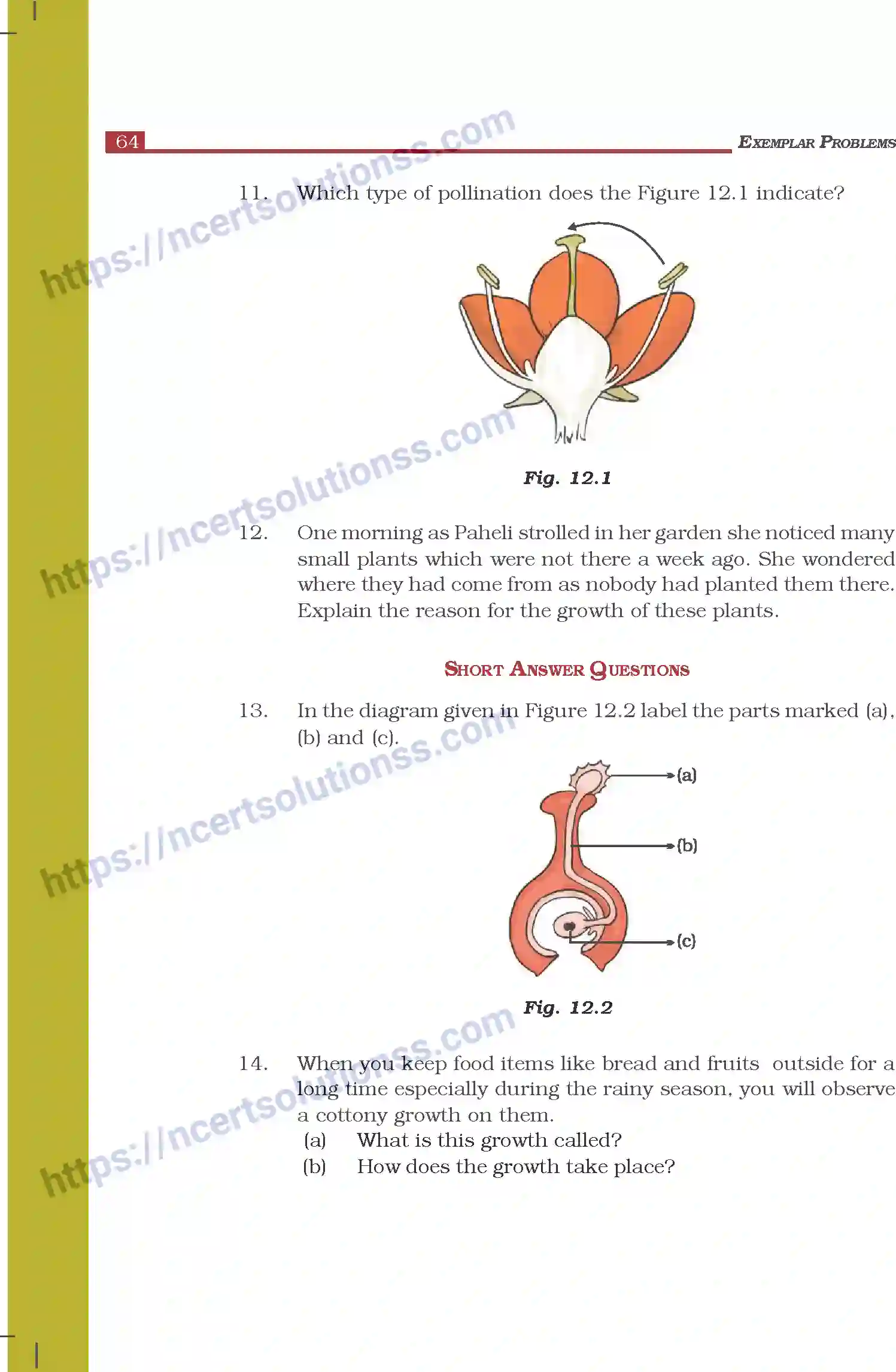 NCERT-Exemplar-Questions-Class-7-Science--Reproduction-in-Plants-273-page-3