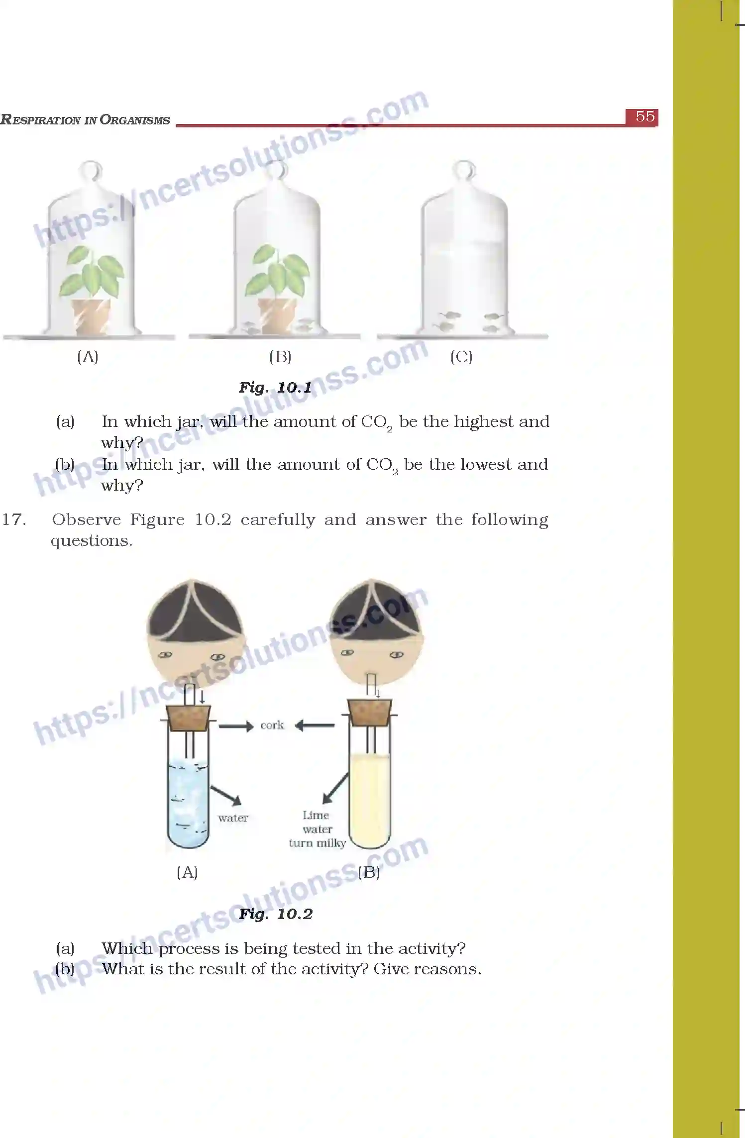 NCERT-Exemplar-Questions-Class-7-Science--Respiration-in-Organisms-271-page-4