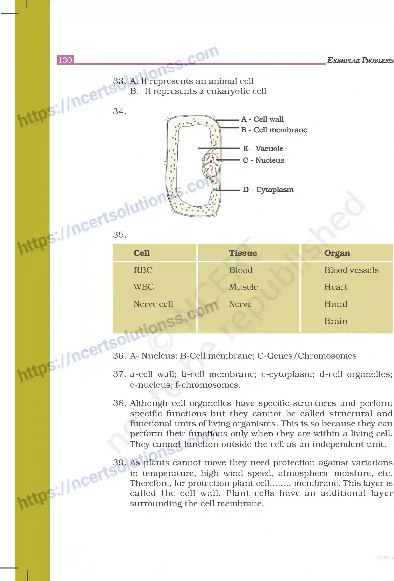 NCERT-Exemplar-Questions-Class-8-Science--Answers-248-page-21