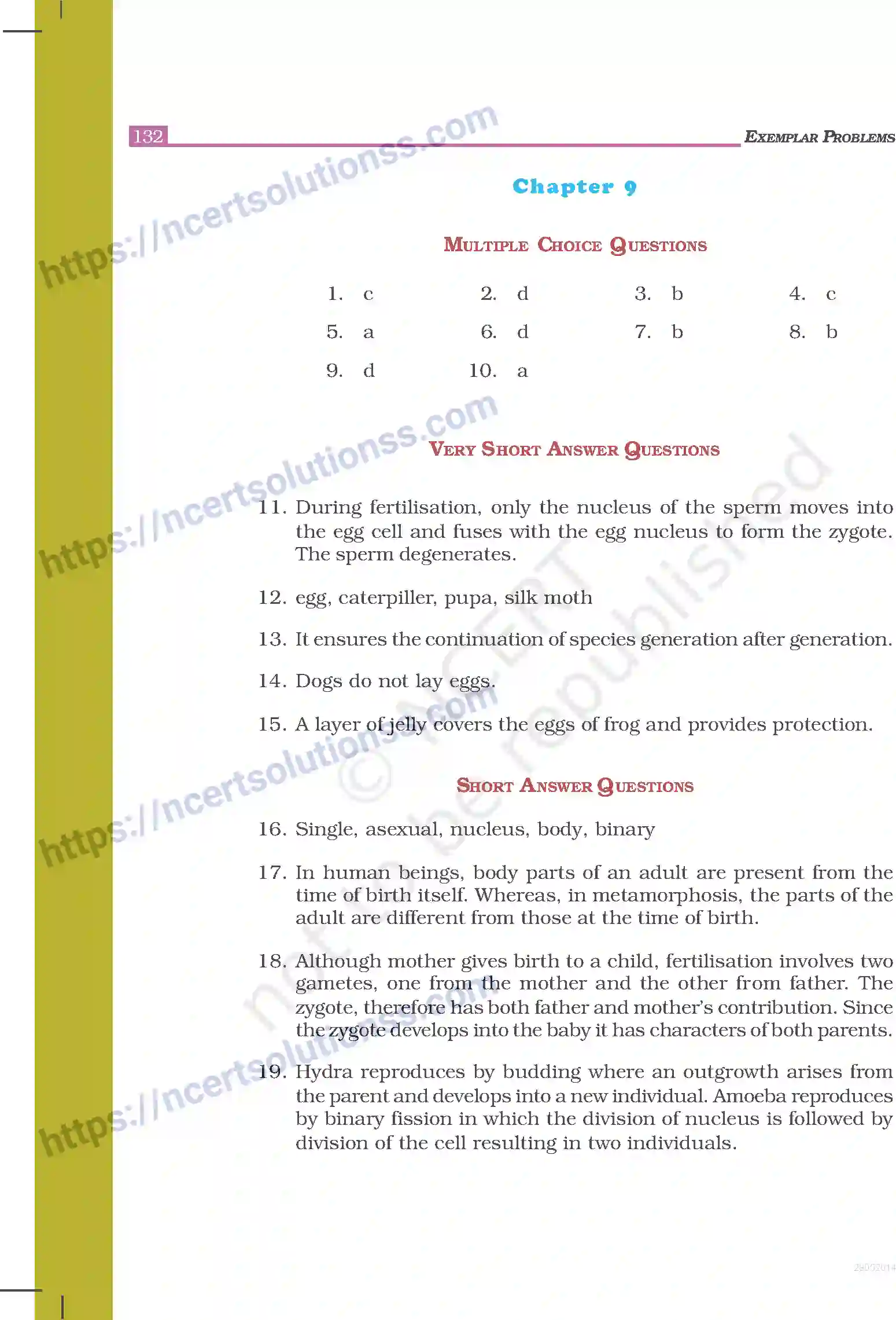 NCERT-Exemplar-Questions-Class-8-Science--Answers-248-page-23