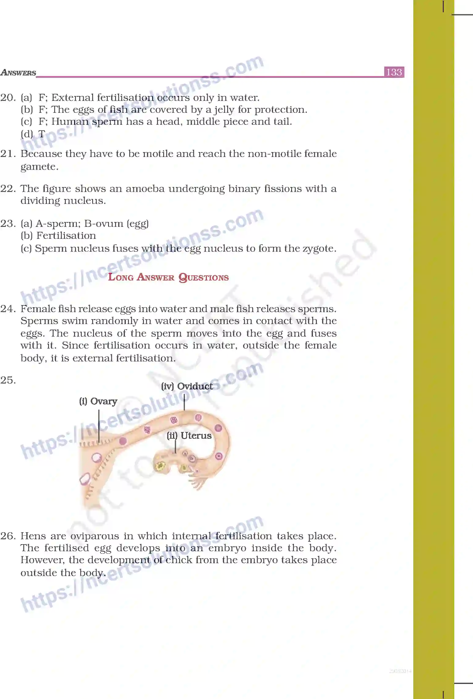 NCERT-Exemplar-Questions-Class-8-Science--Answers-248-page-24