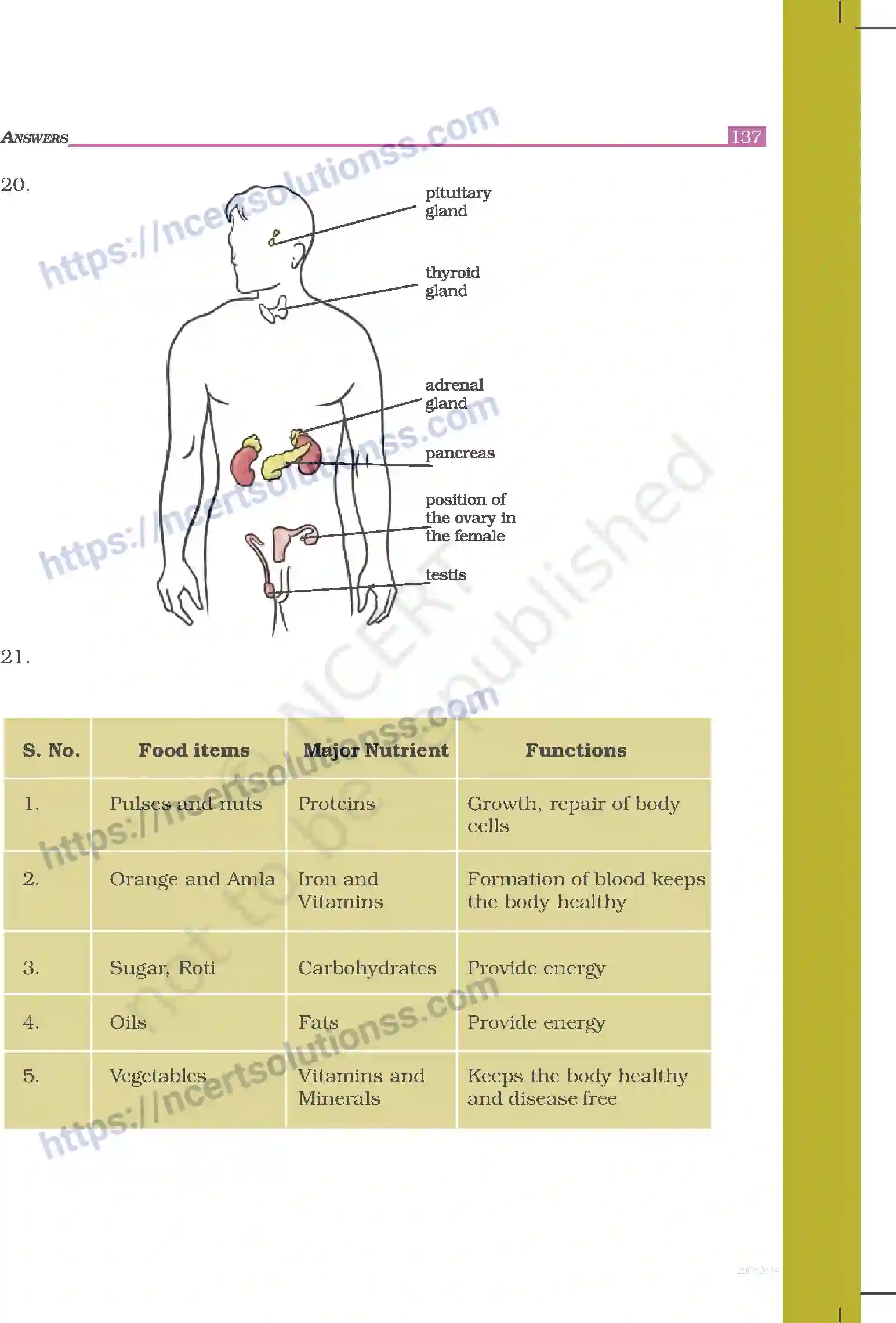 NCERT-Exemplar-Questions-Class-8-Science--Answers-248-page-28