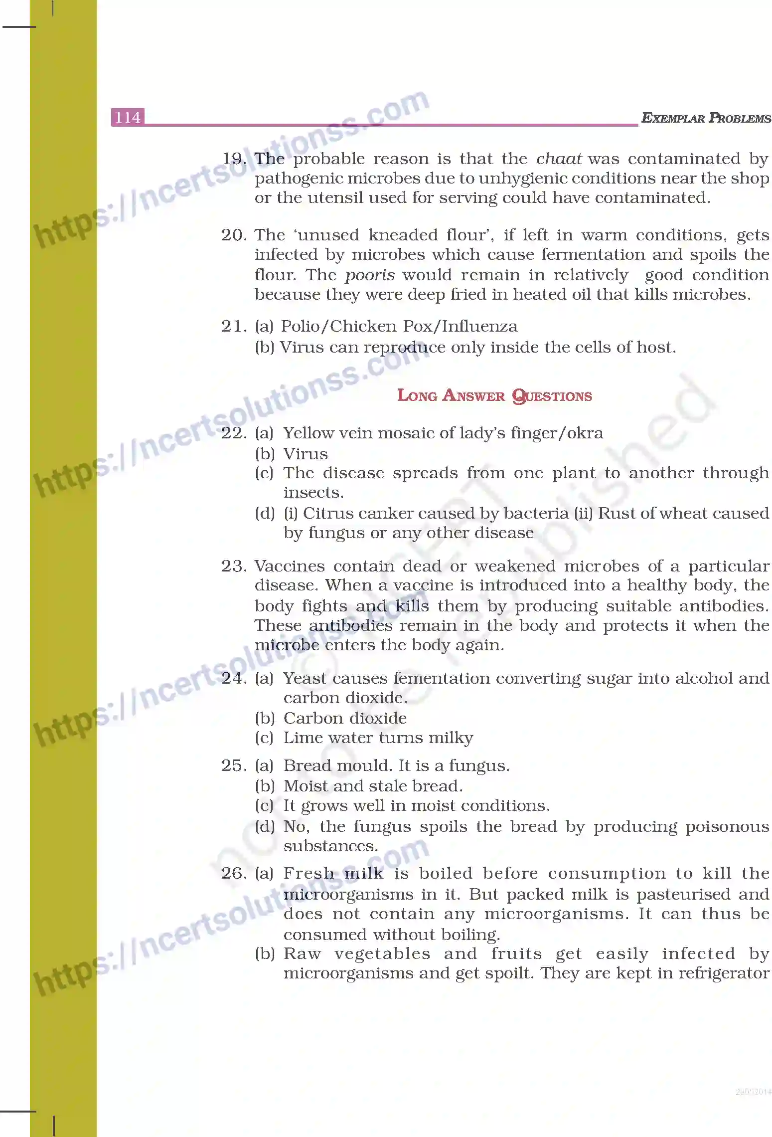 NCERT-Exemplar-Questions-Class-8-Science--Answers-248-page-5