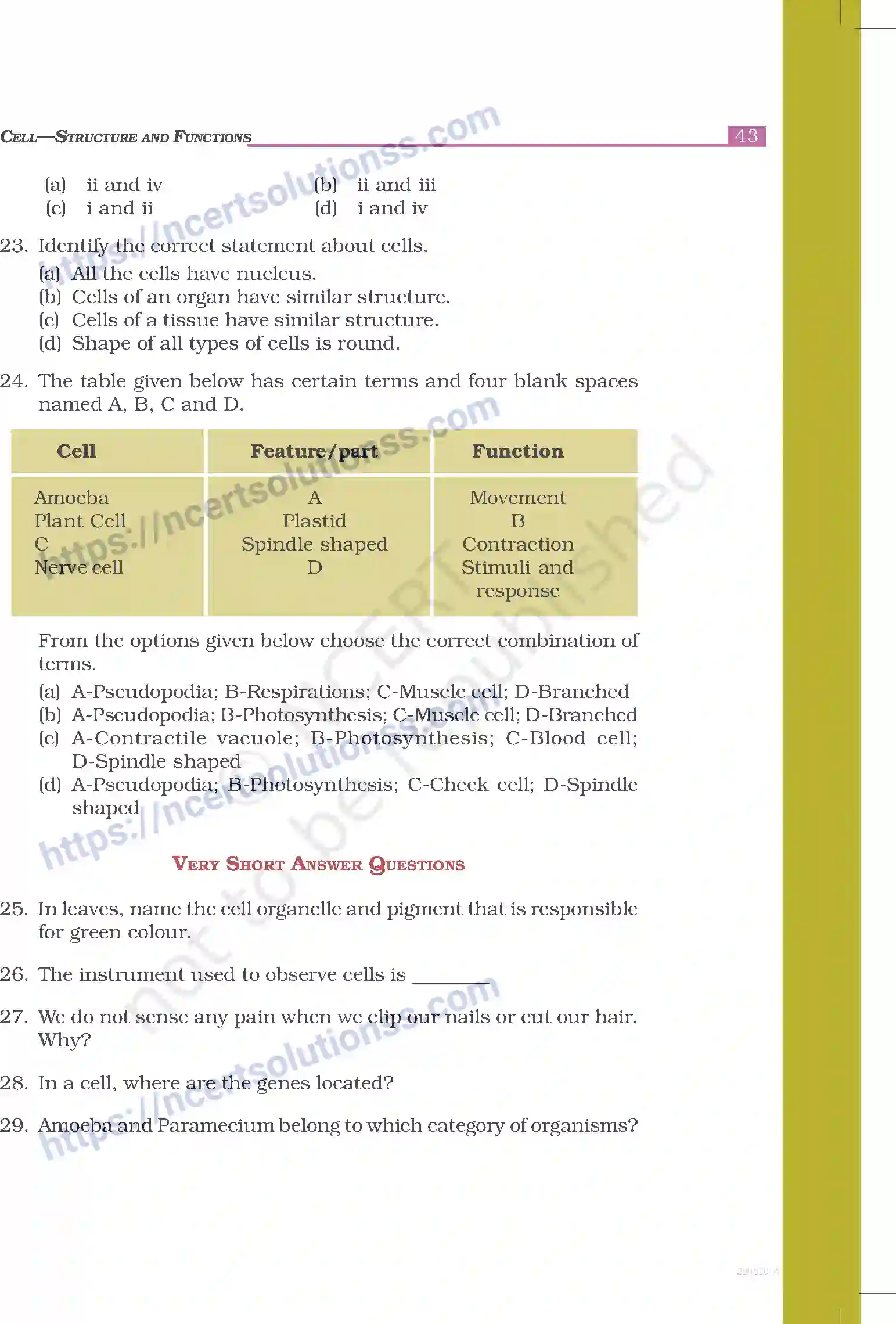 NCERT-Exemplar-Questions-Class-8-Science--Cell---Structure-and-Functions-237-page-4